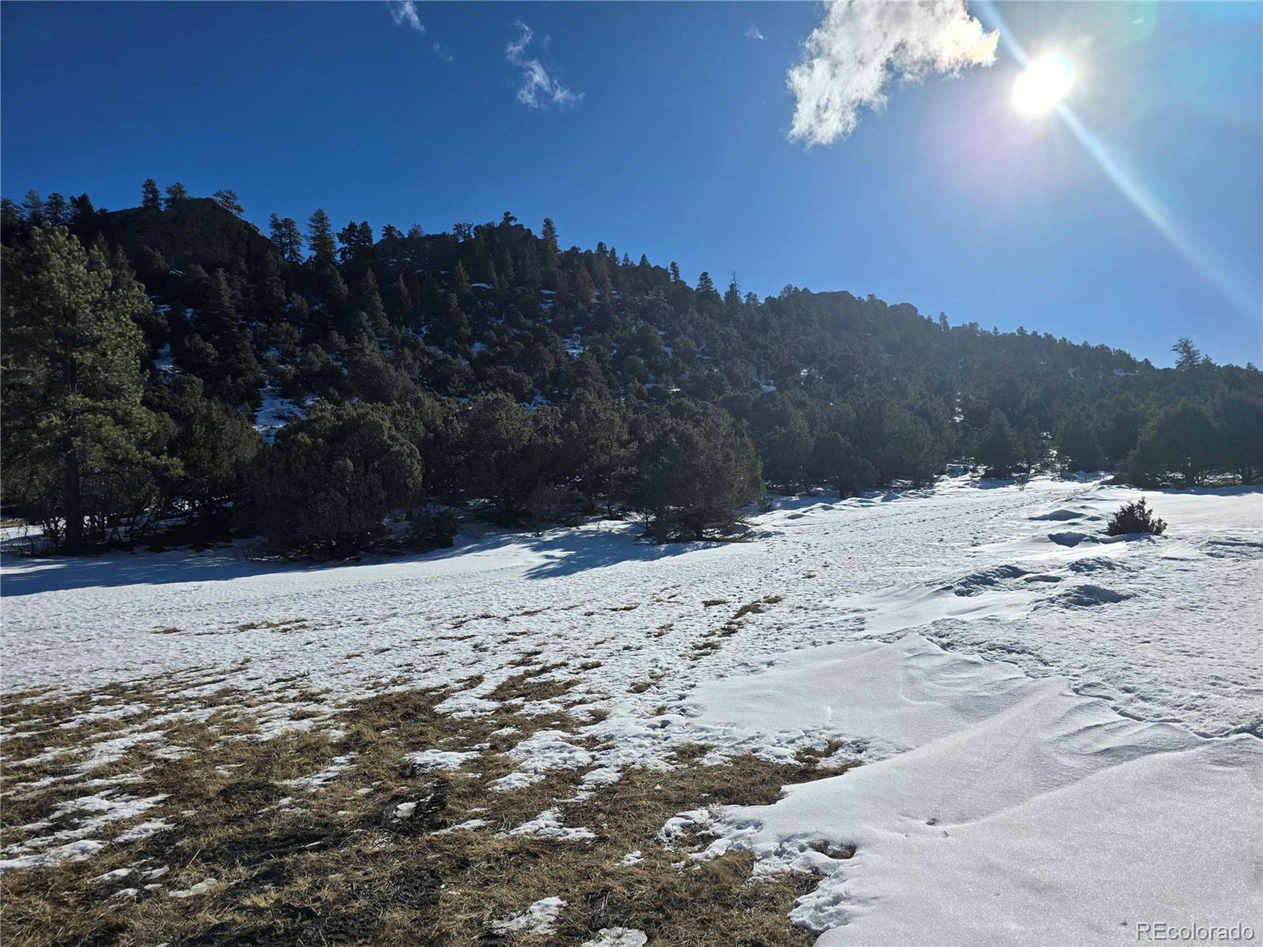 Canon City, CO 81212,824 Shoshone Dr