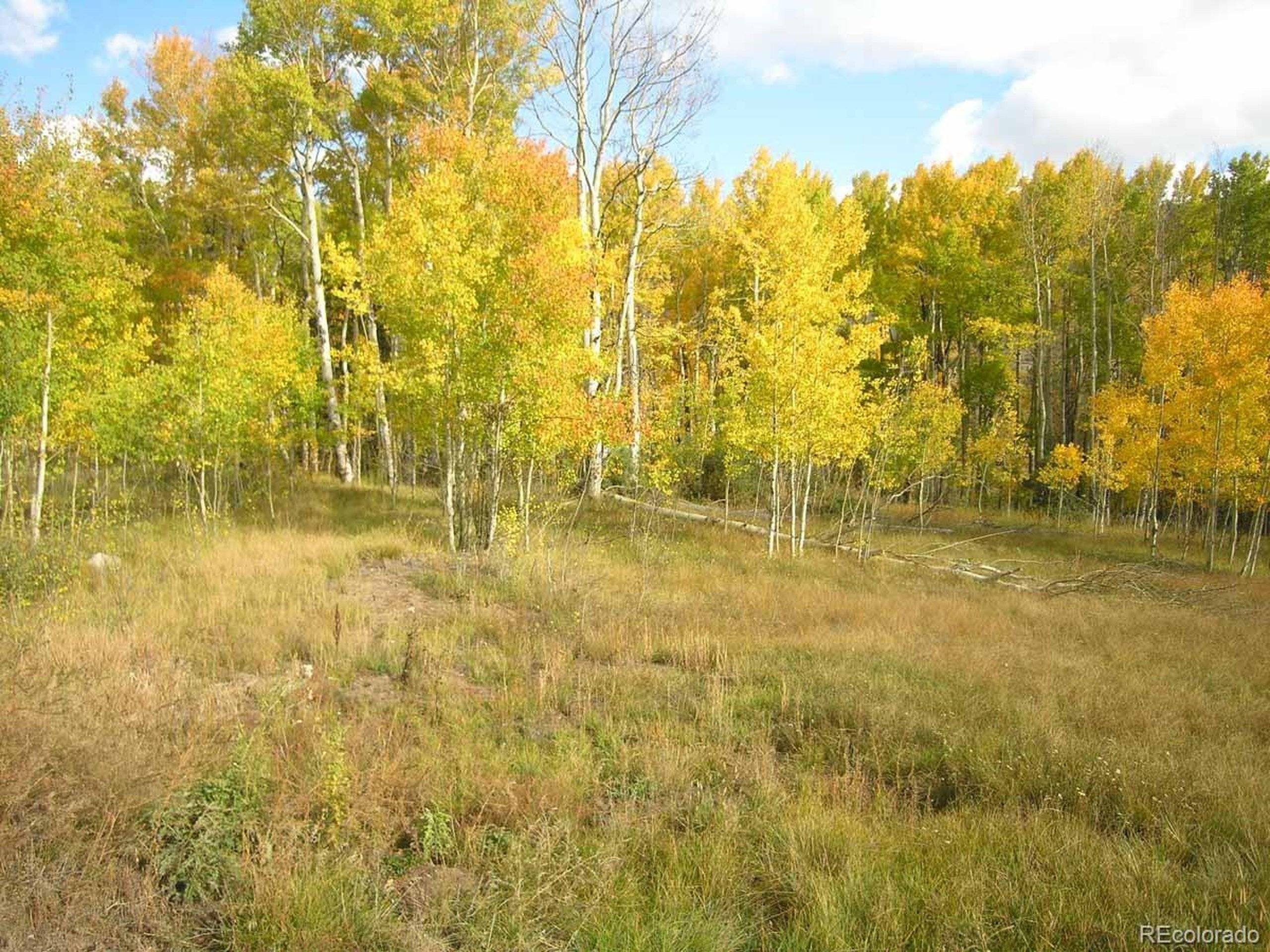 Salida, CO 81201,19051 Monarch River Dr