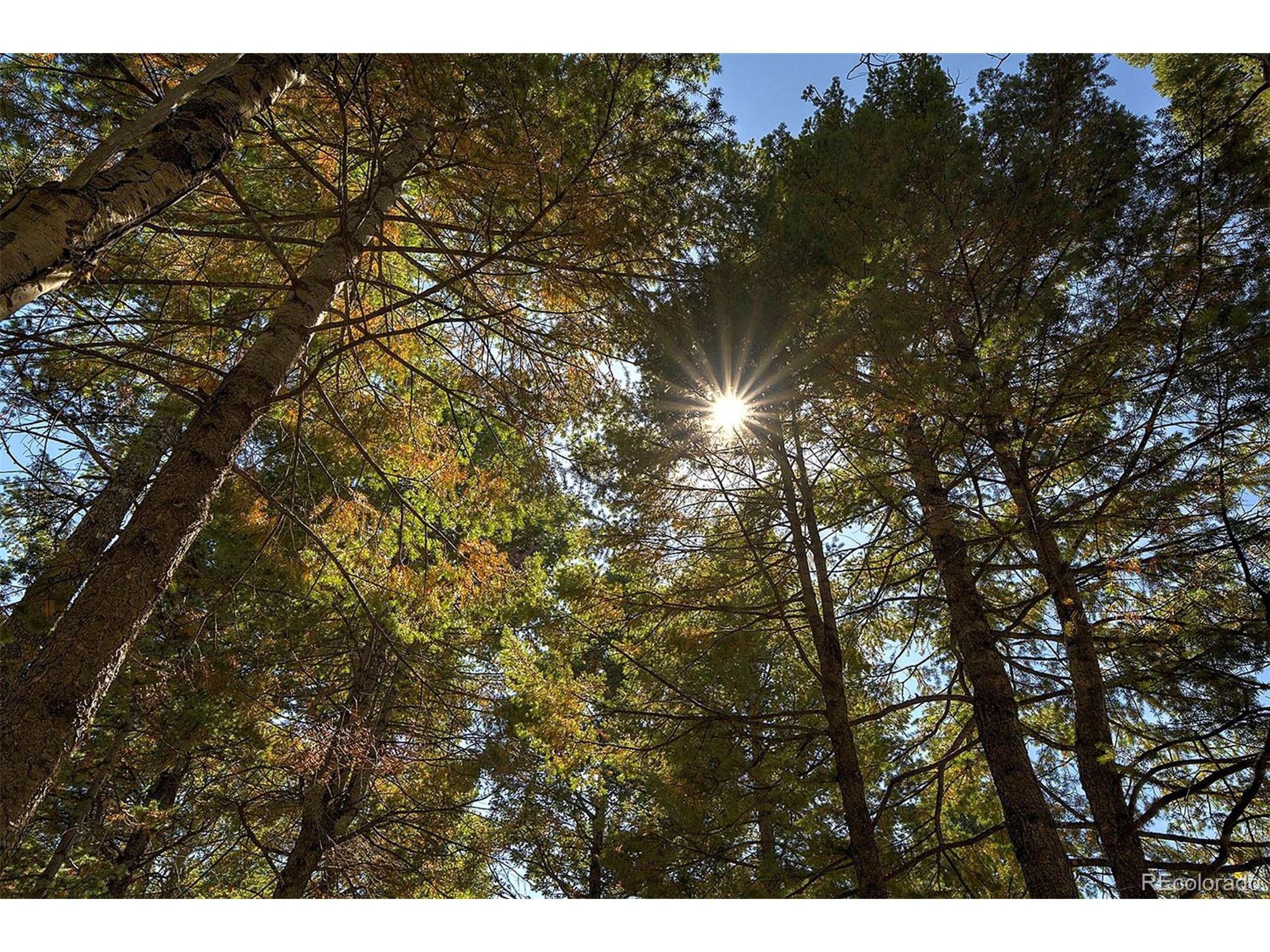 Conifer, CO 80433,13492 Shiloh Dr