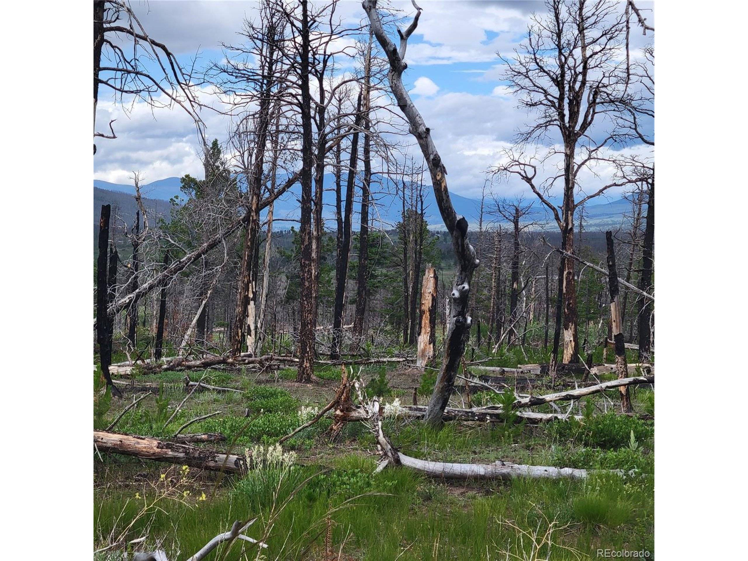 Fort Garland, CO 81133,Wohlstetter Loop