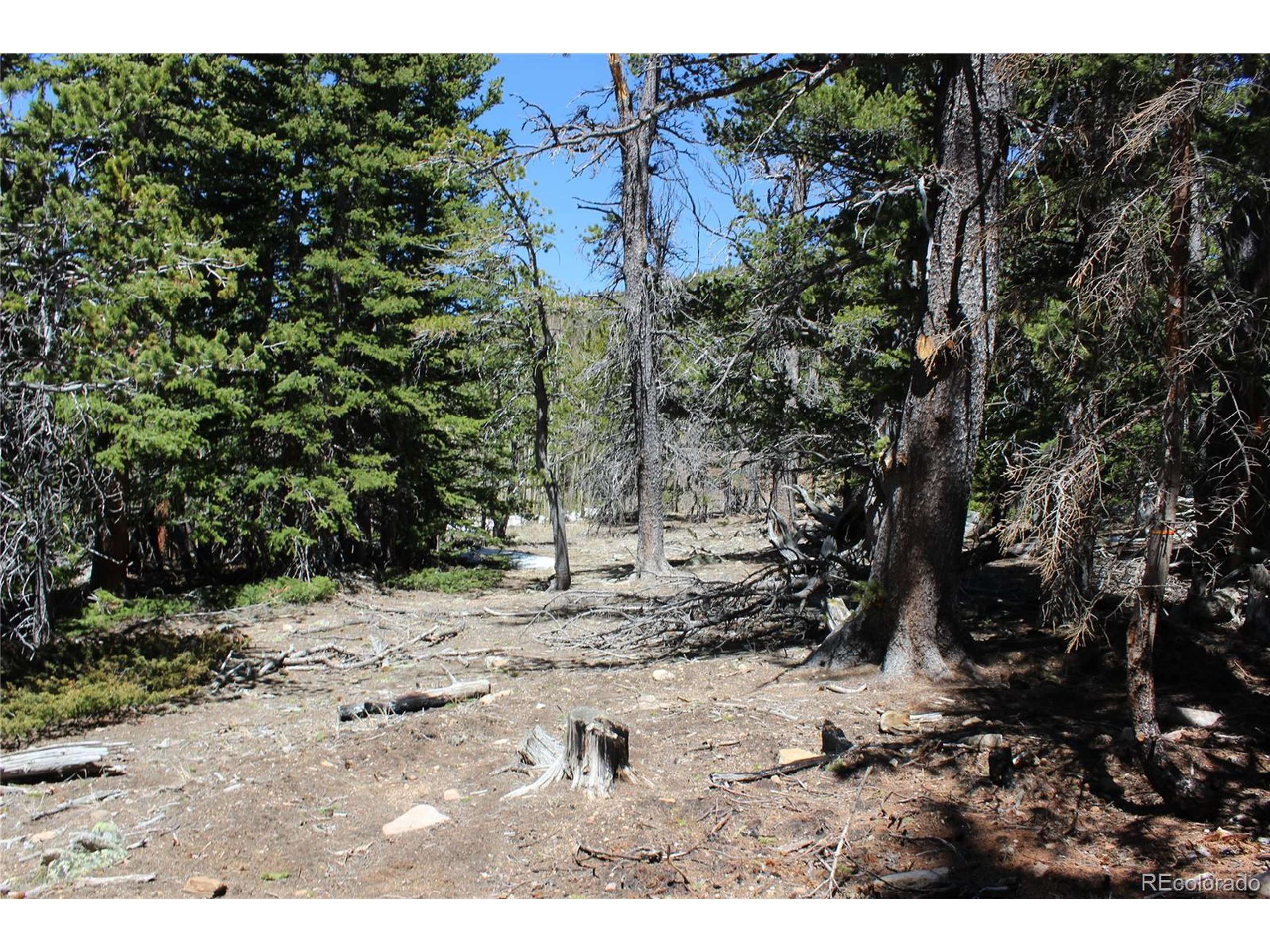 Idaho Springs, CO 80436,2800 WILD WAGONER Trl