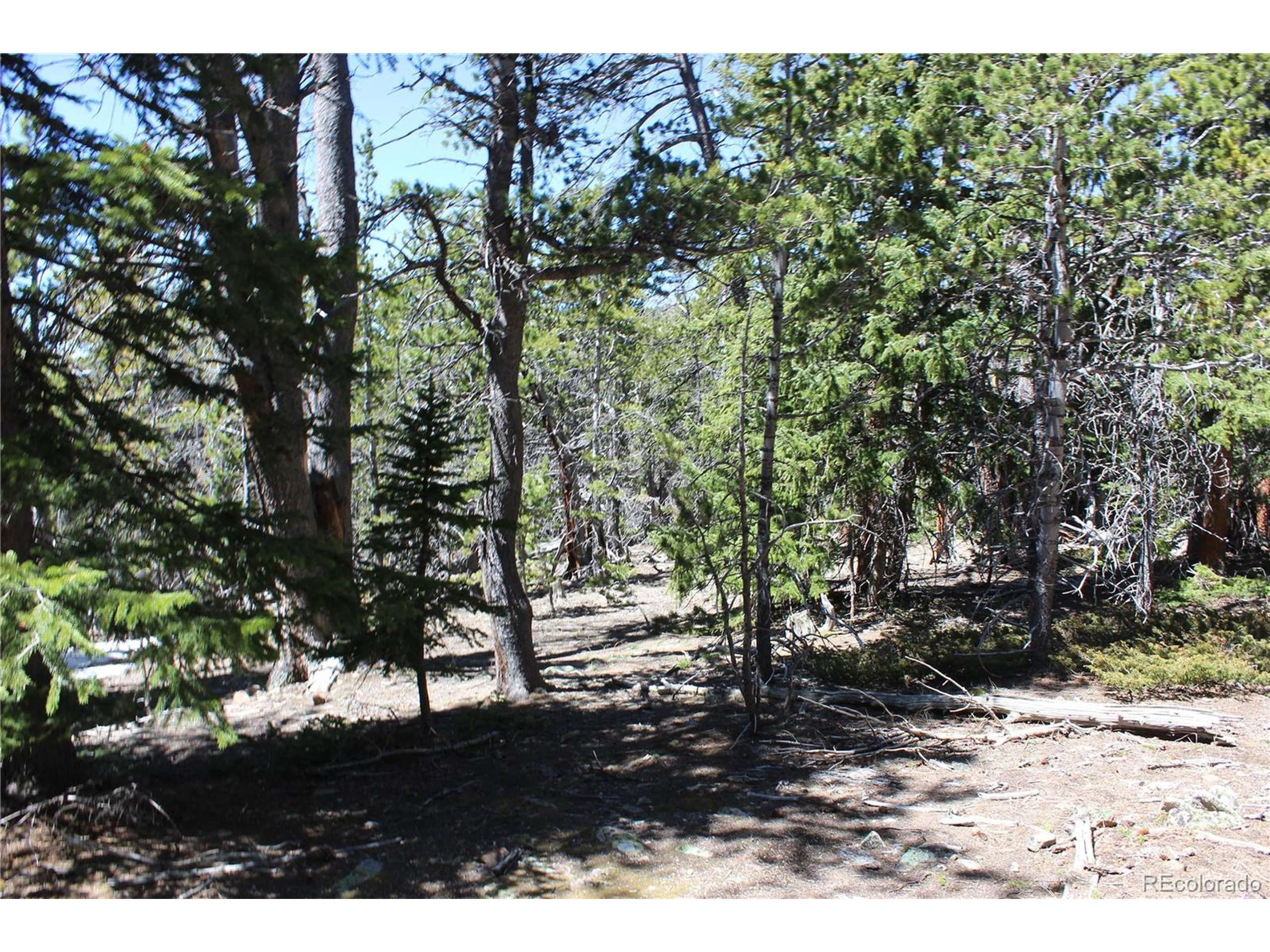 Idaho Springs, CO 80436,2800 WILD WAGONER Trl