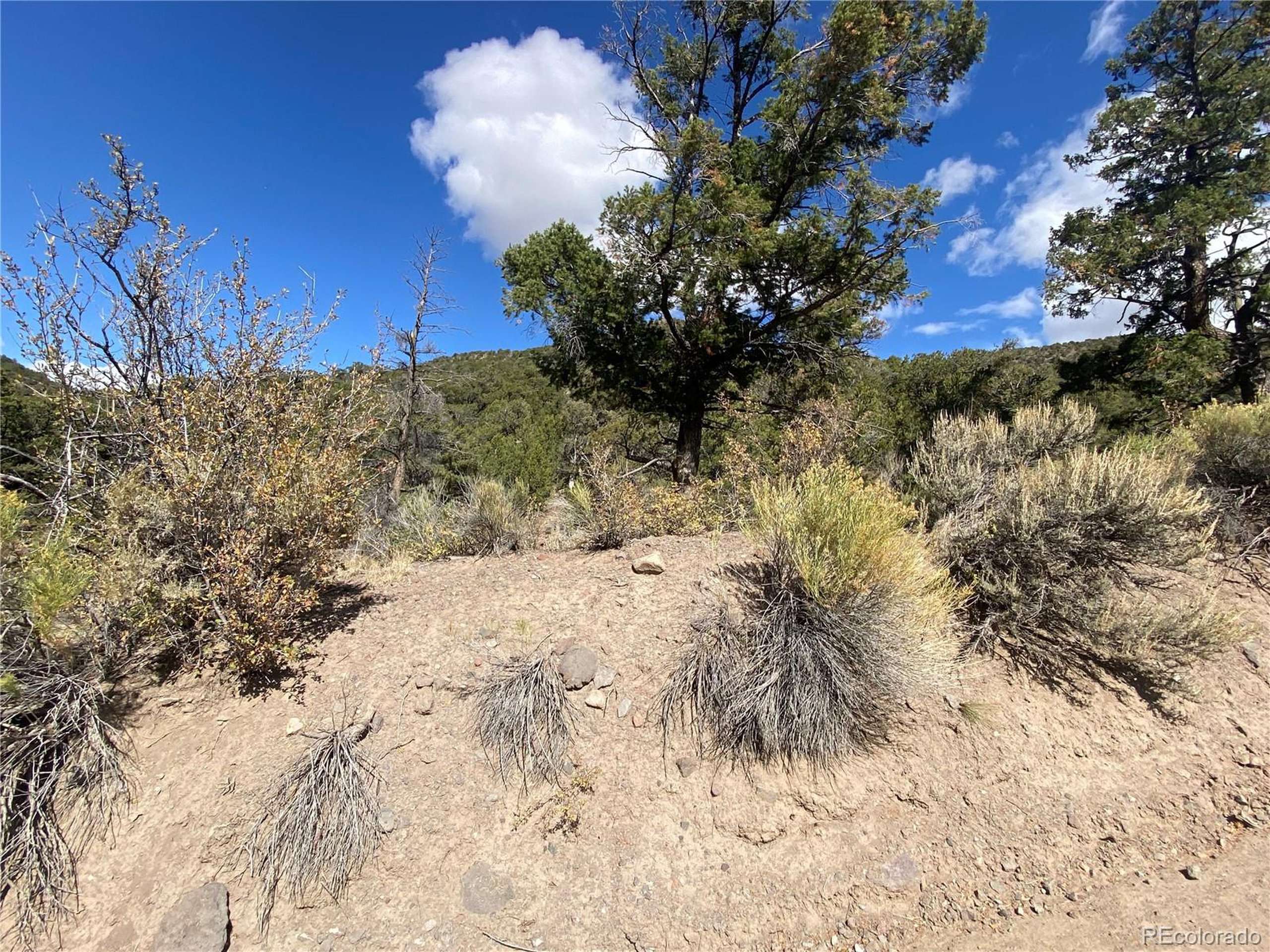 Fort Garland, CO 81133,Lot 5135 Adelaid Road