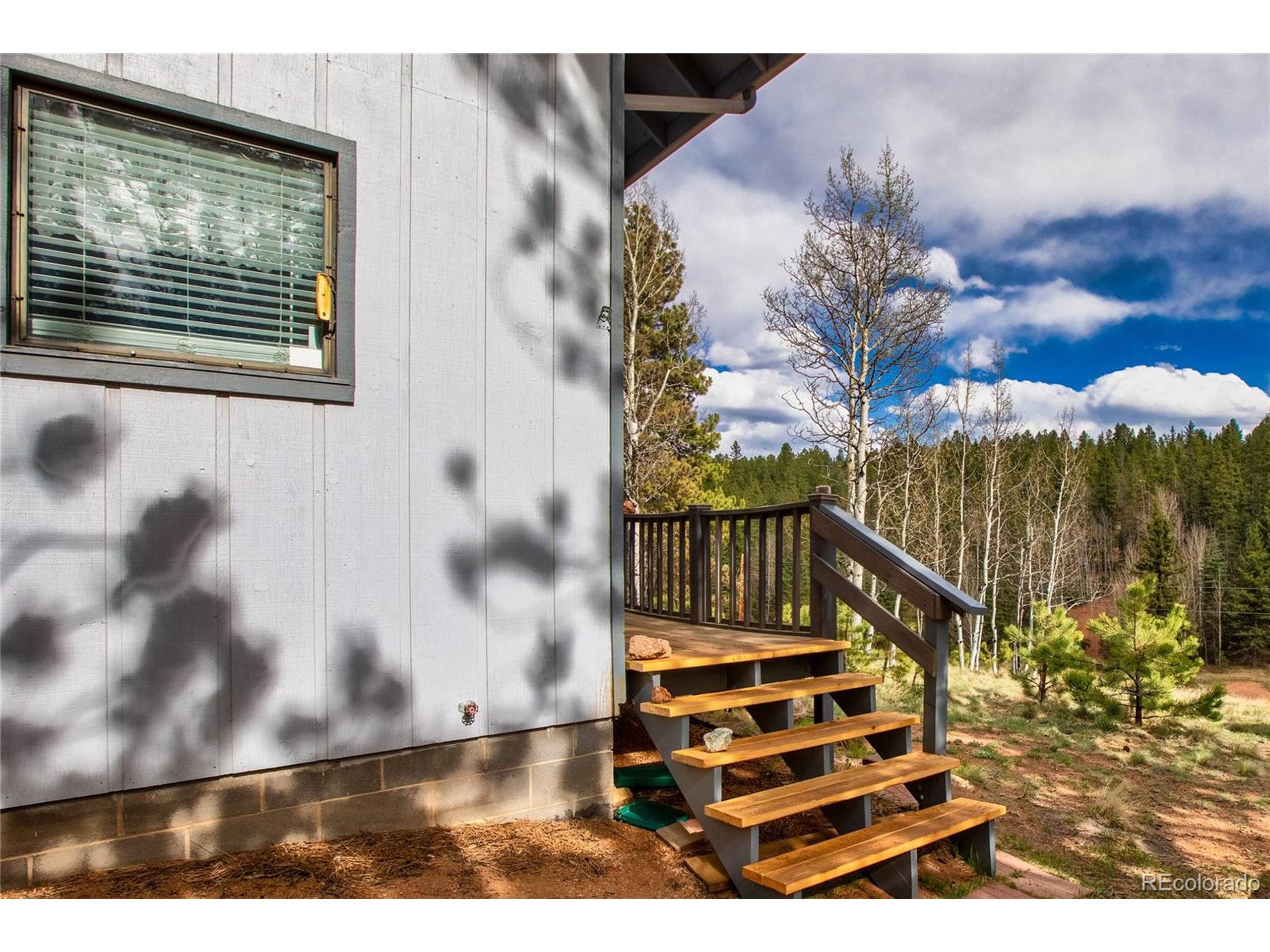 Divide, CO 80814,419 Lake Dr