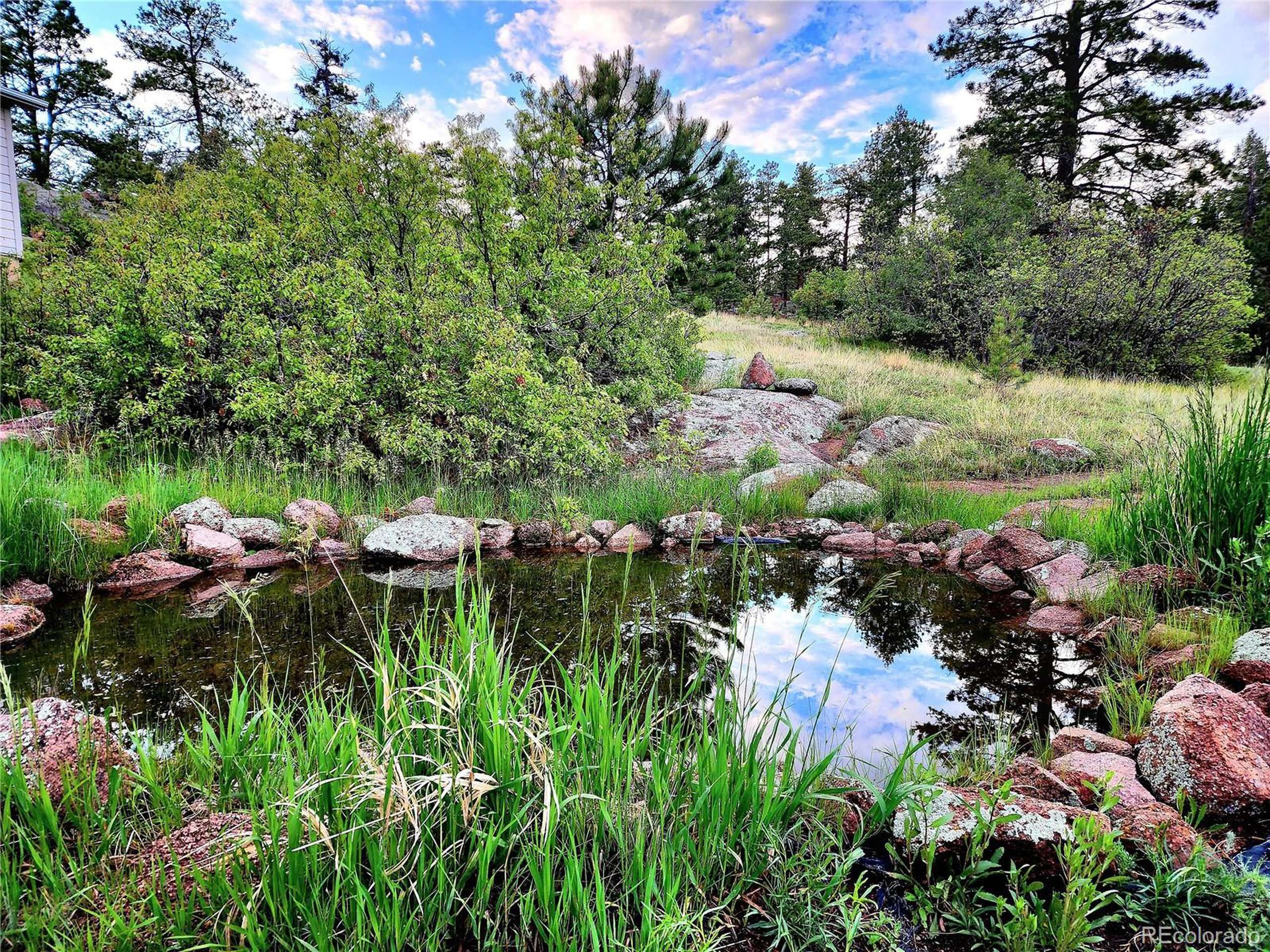 Florissant, CO 80816,324 Pike View Ln