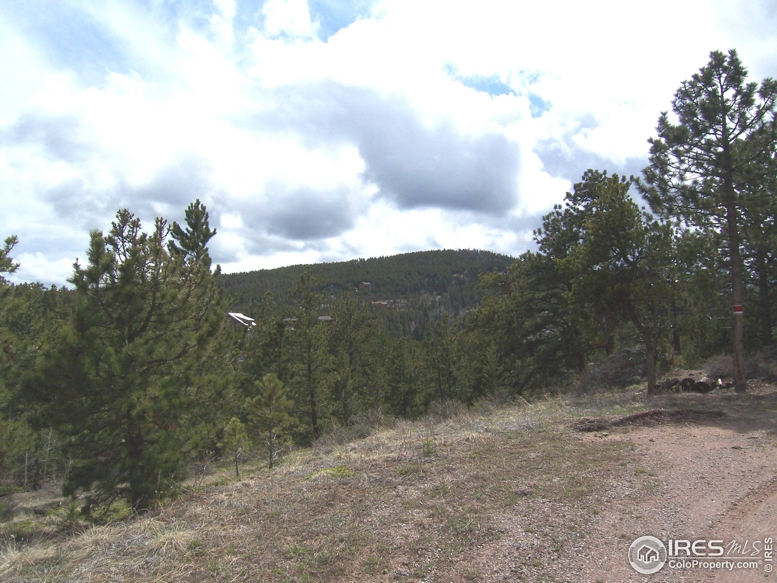 Nederland, CO 80466,0 Wildewood Dr #A