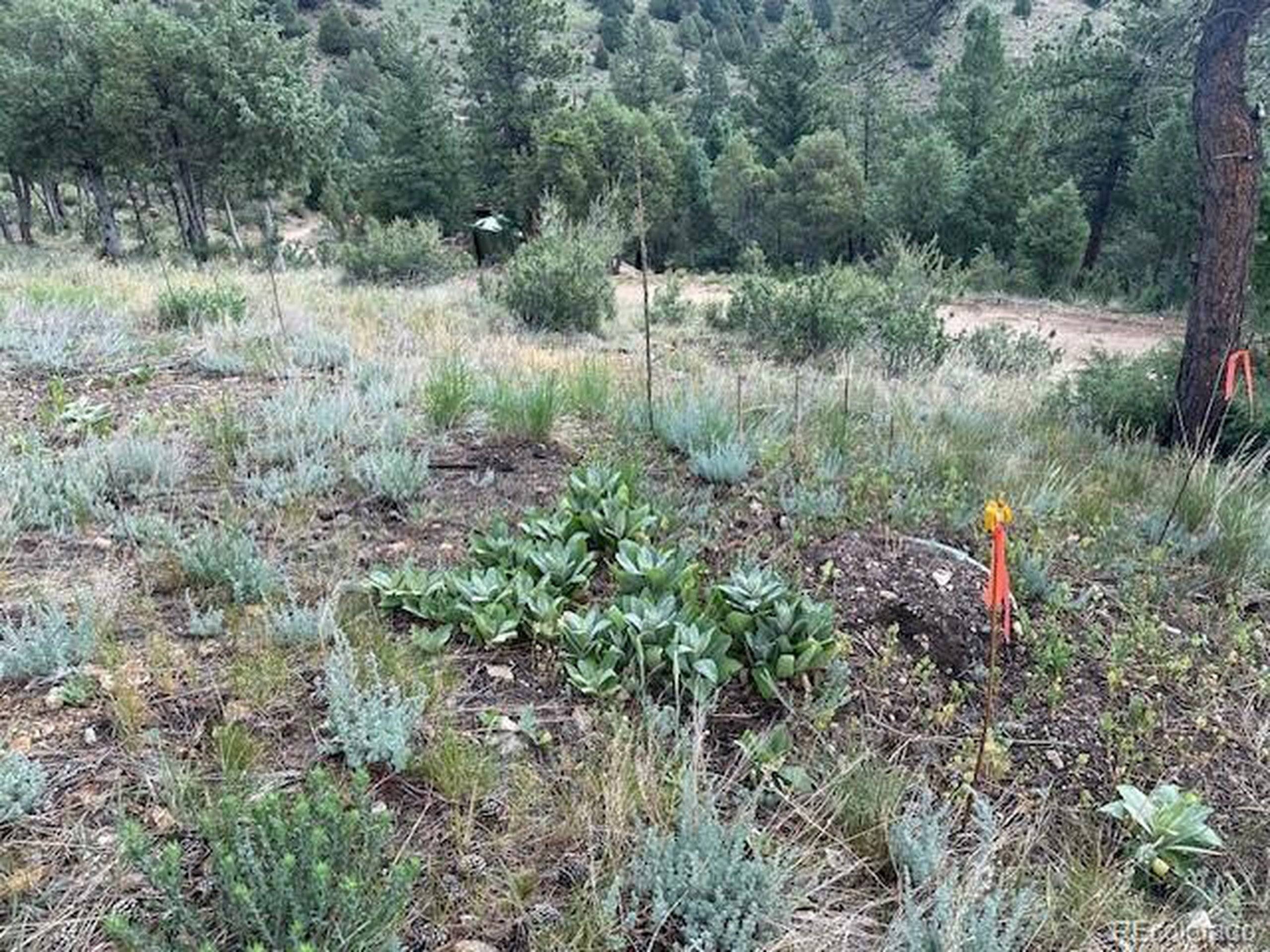 Idaho Springs, CO 80452,BLACK EAGLE ROAD