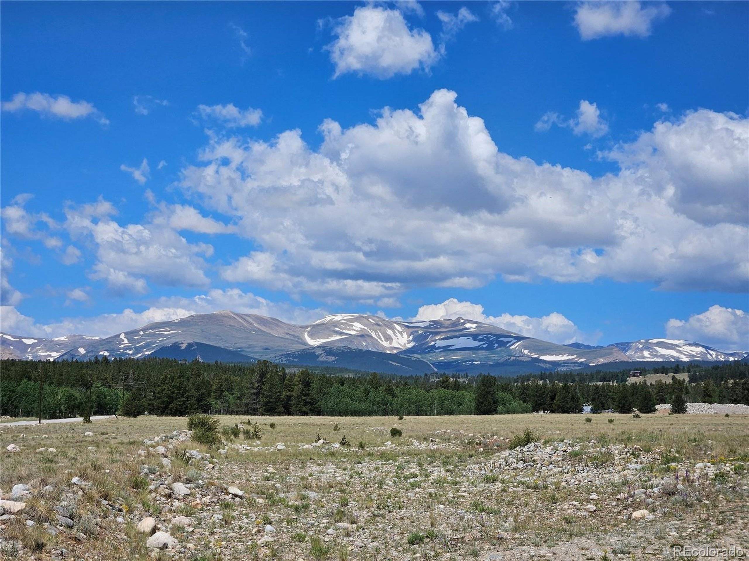 Fairplay, CO 80440,0 Trout Creek Dr