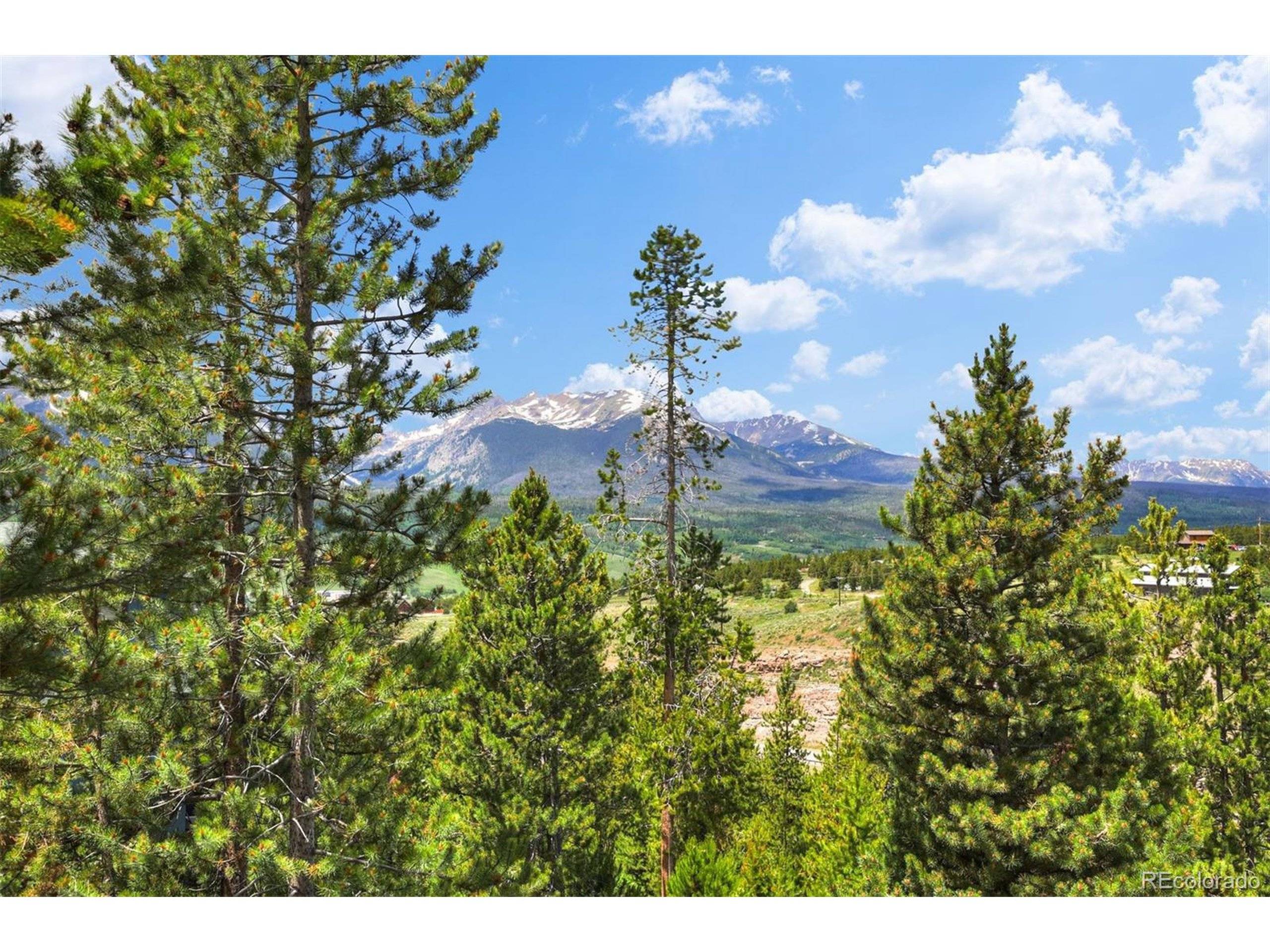 Dillon, CO 80435,351 Piney Acres Cir