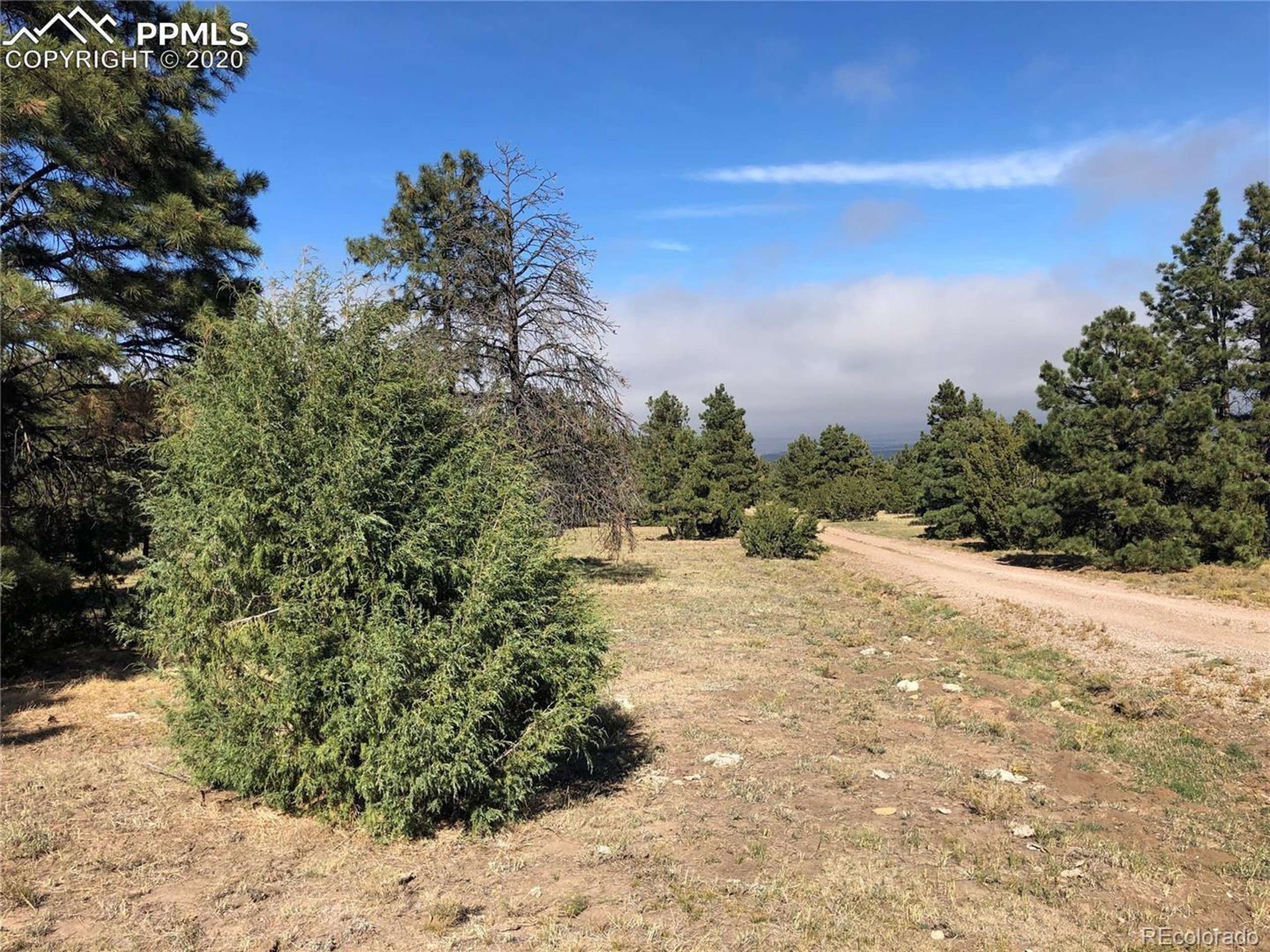 Beulah, CO 81023,Ponderosa Pine Dr