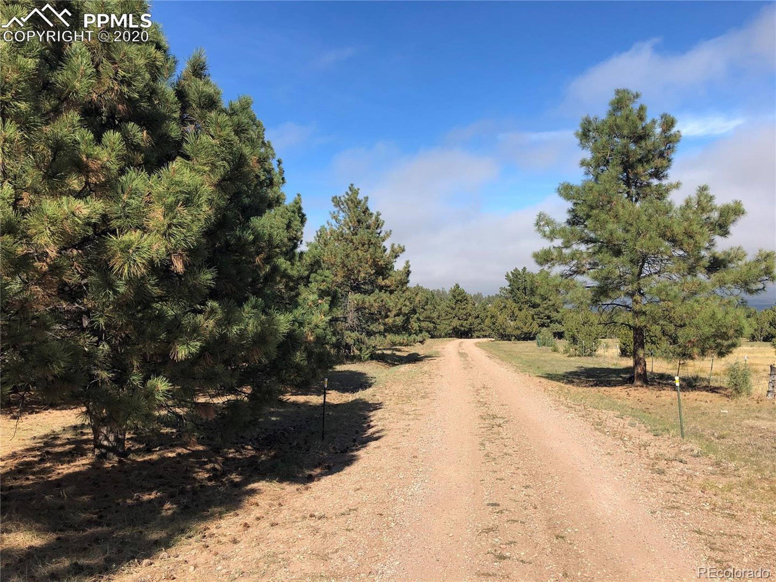 Beulah, CO 81023,Ponderosa Pine Dr