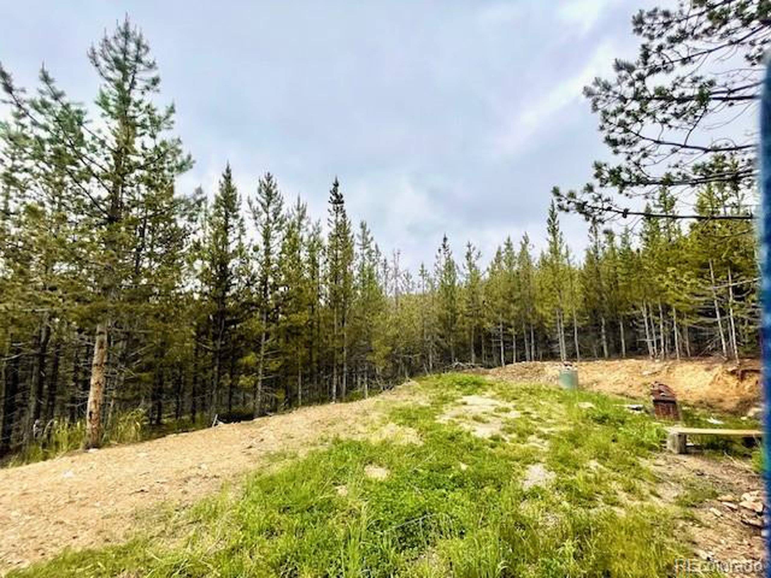Idaho Springs, CO 80452,0 Alice Rd