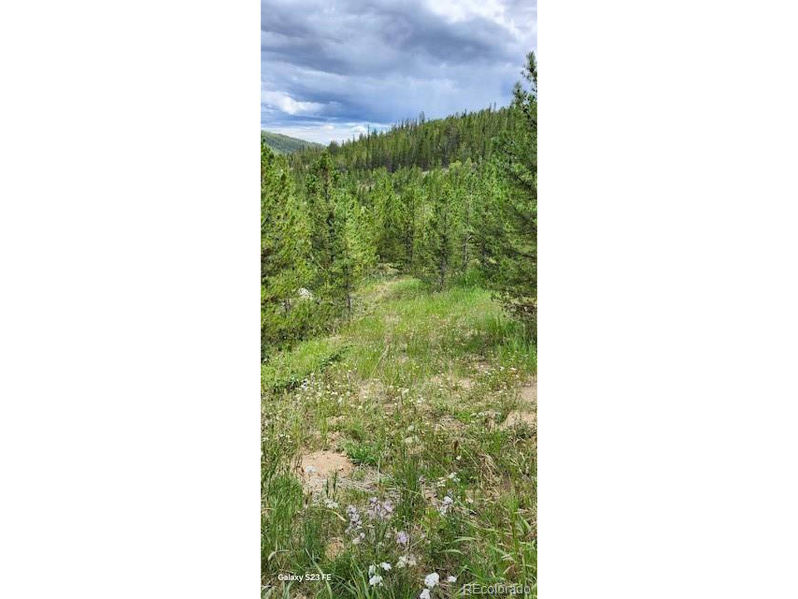 Idaho Springs, CO 80452,0 Alice Rd