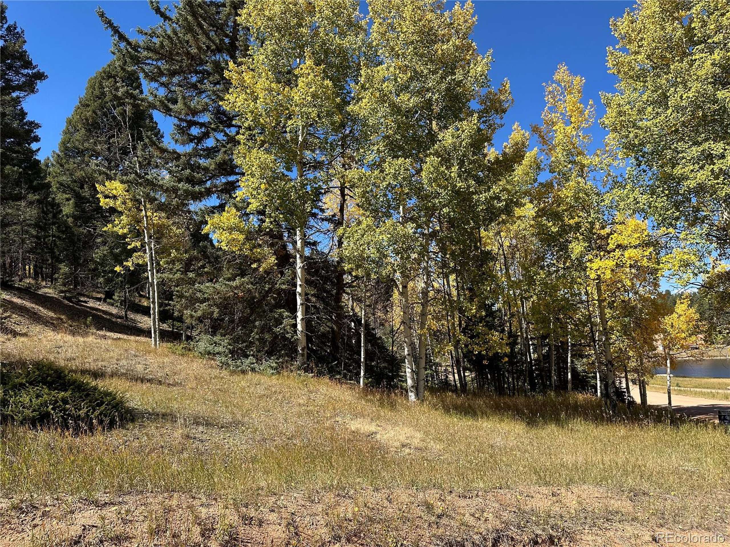 Florissant, CO 80816,244 Spring Valley Ln