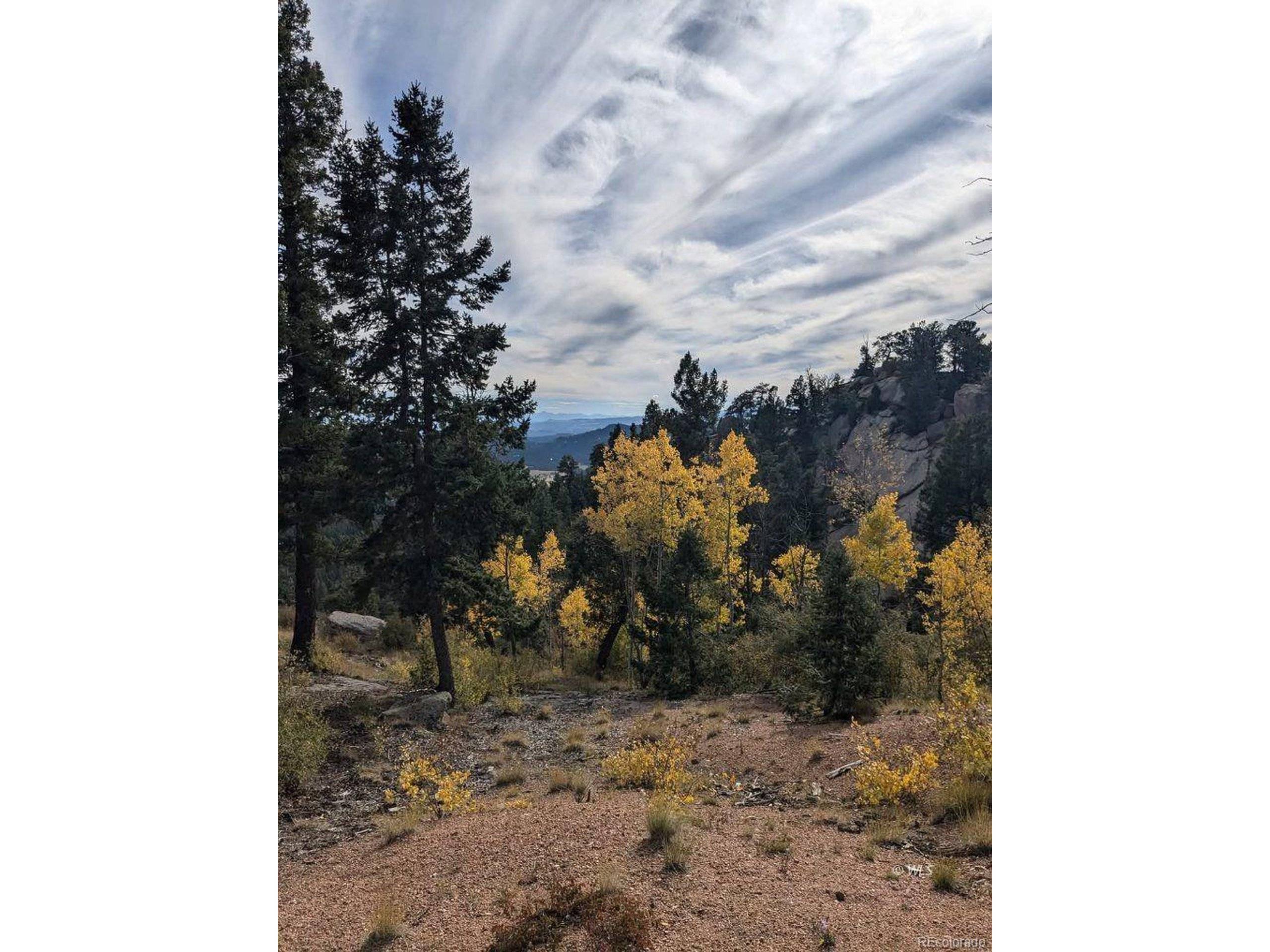 Florissant, CO 80816,303 Viewcrest Way
