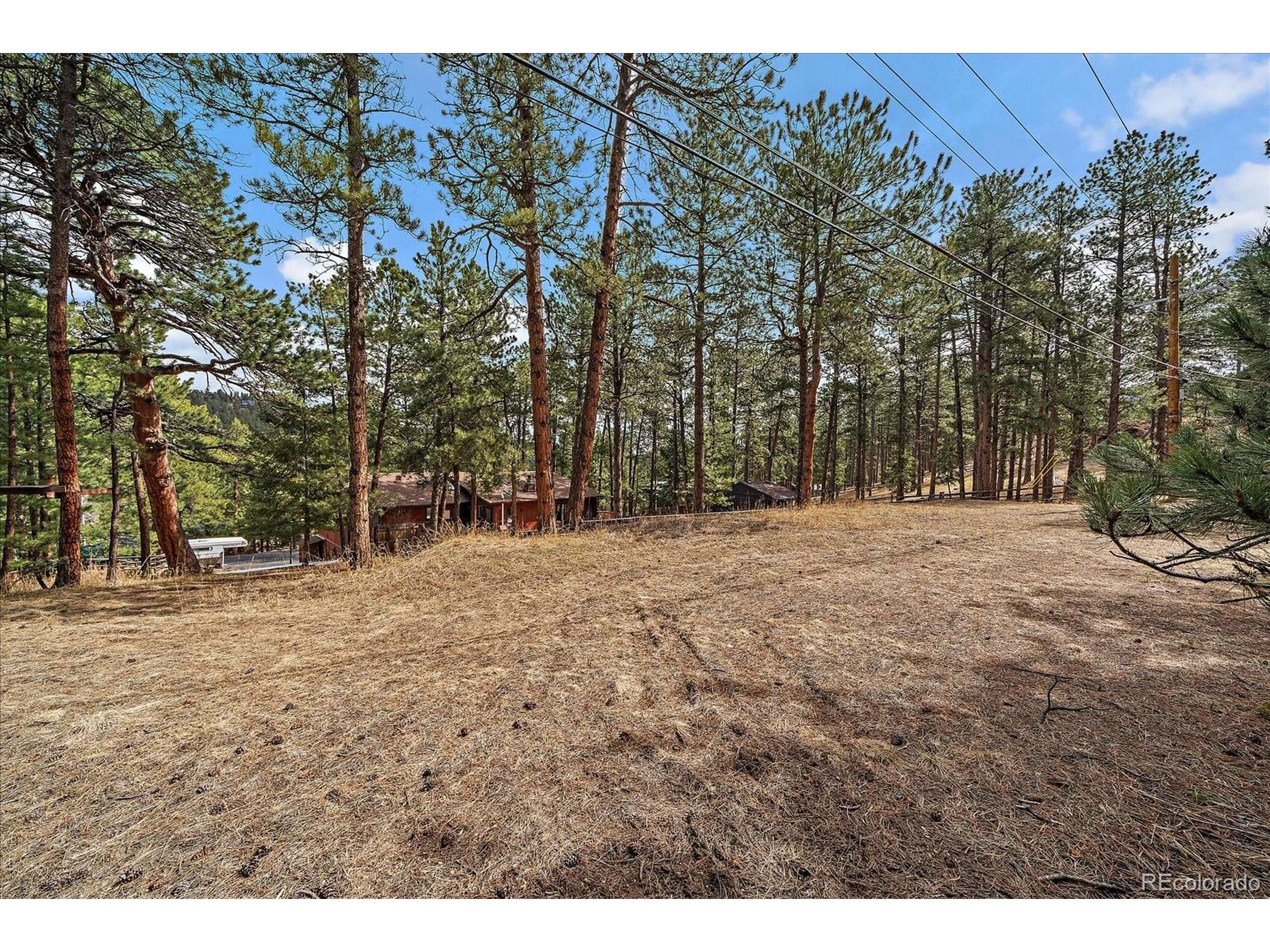 Evergreen, CO 80439,28630 Pine Dr
