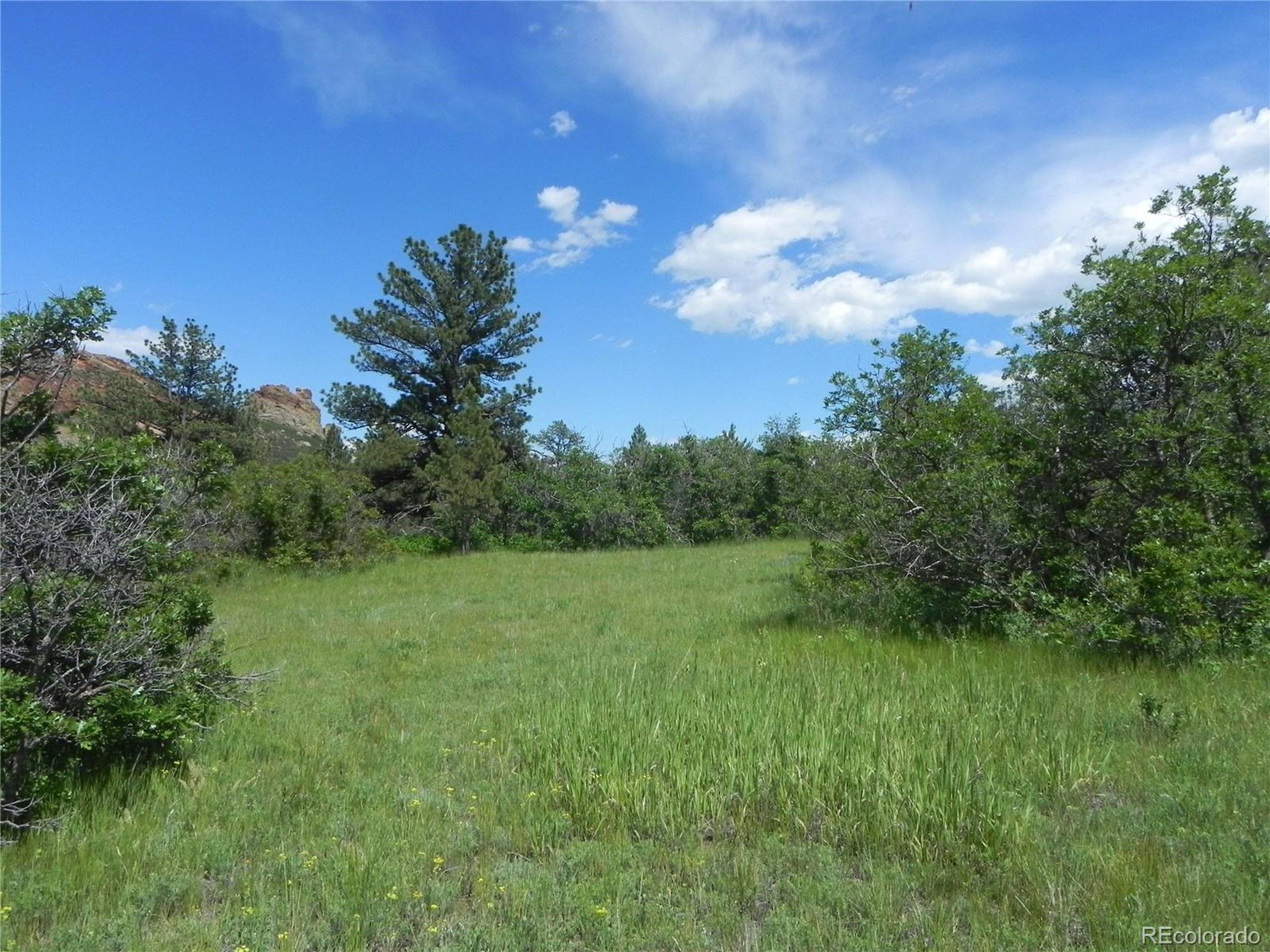Larkspur, CO 80118,6295 Perry Park Blvd