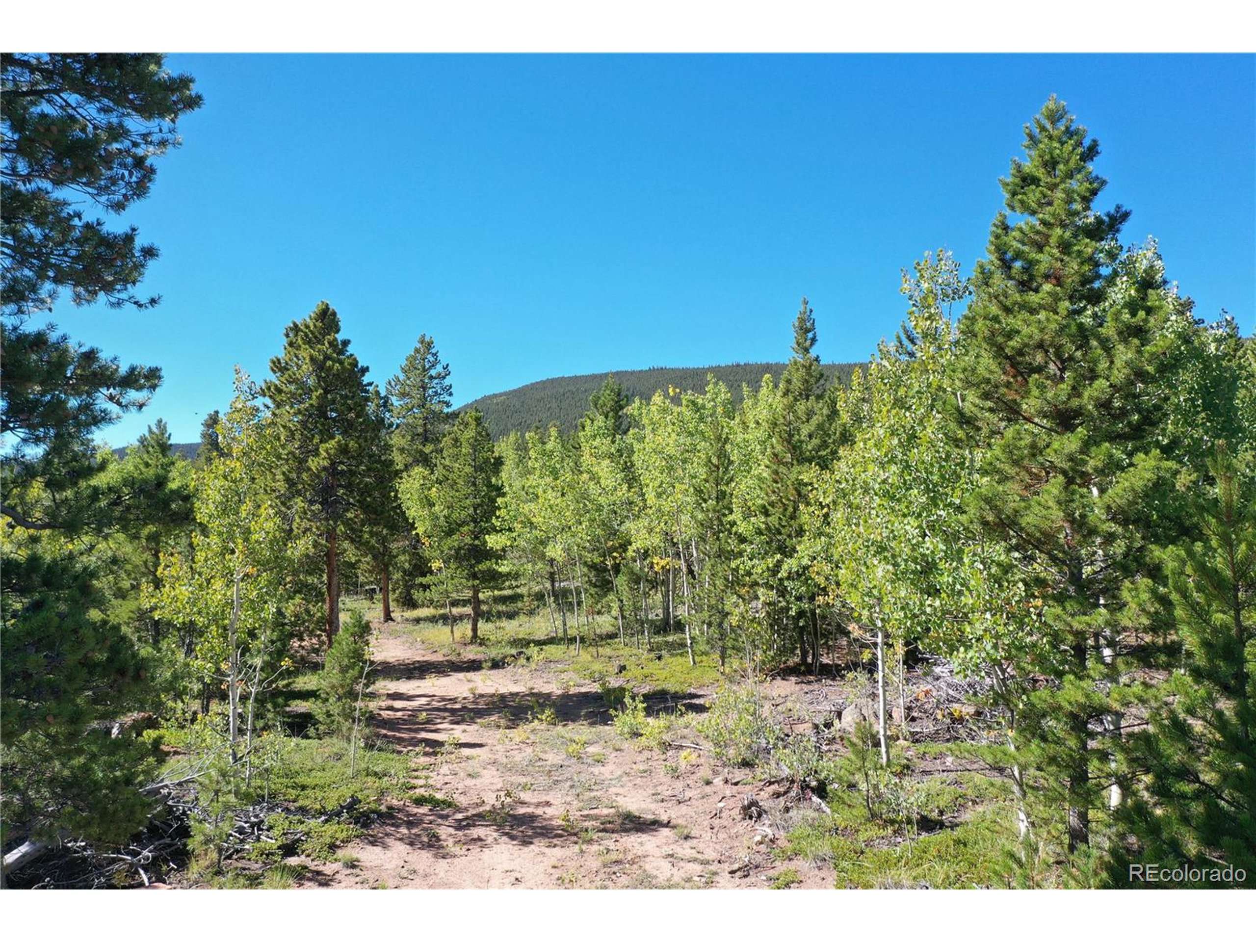 Bailey, CO 80421,105 Road P62