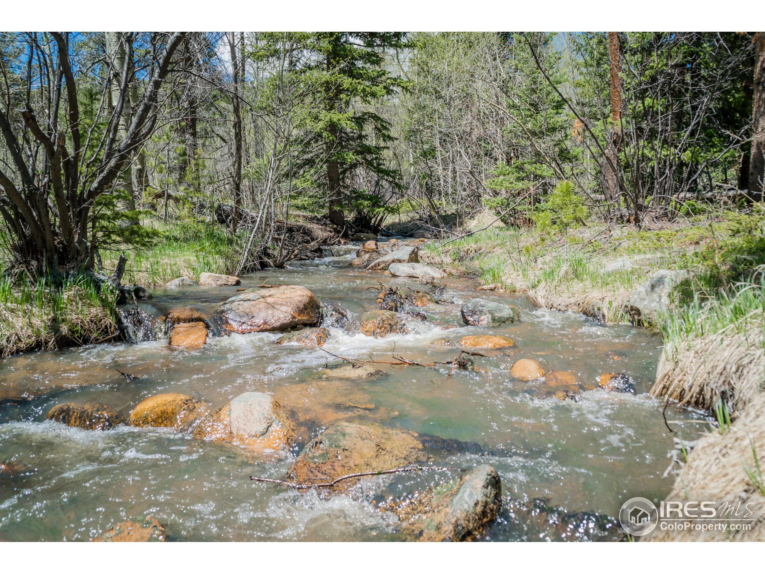 Allenspark, CO 80510,12905 Peak to Peak Hwy