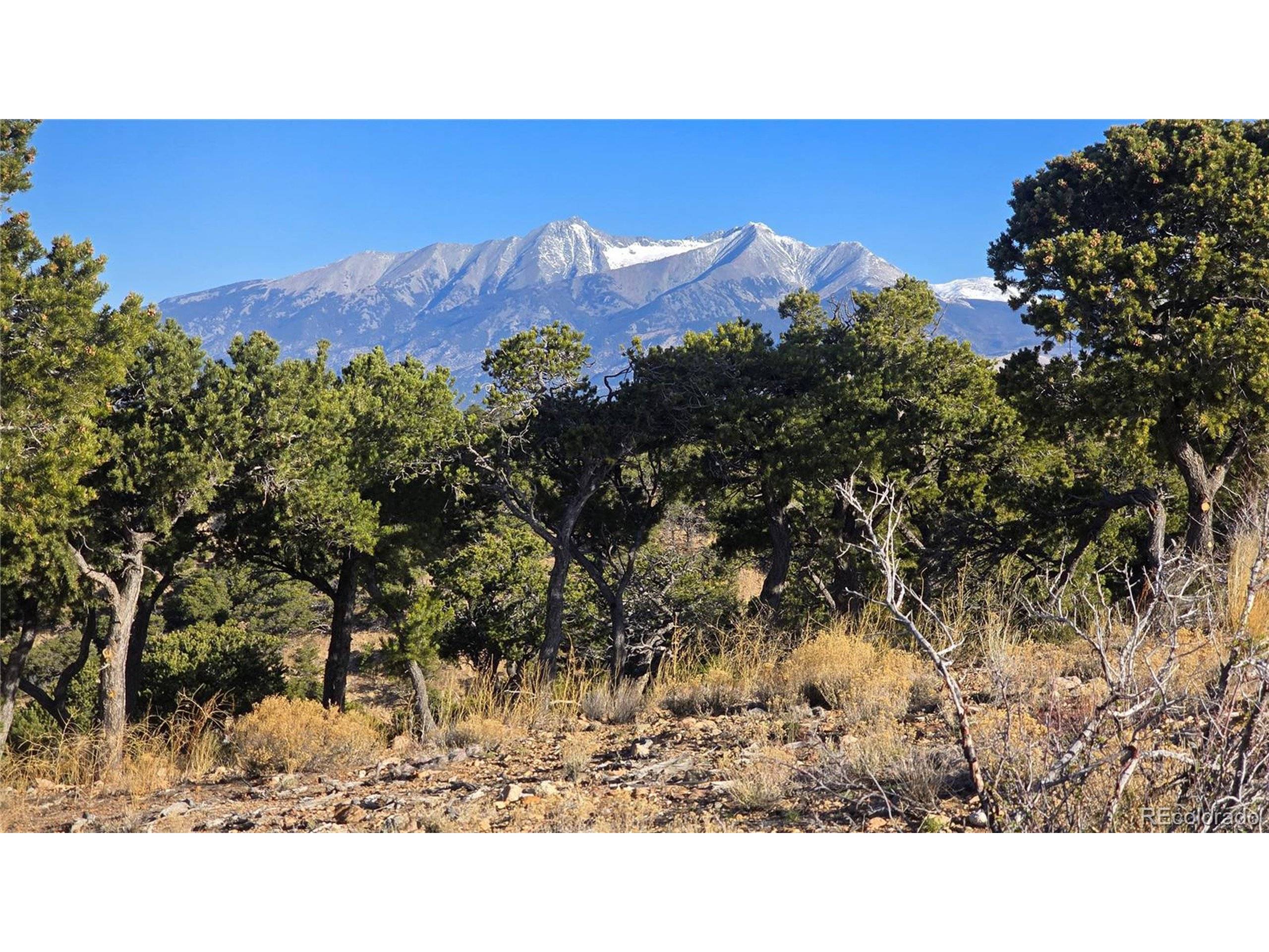 Fort Garland, CO 81133,3859 Murray Rd