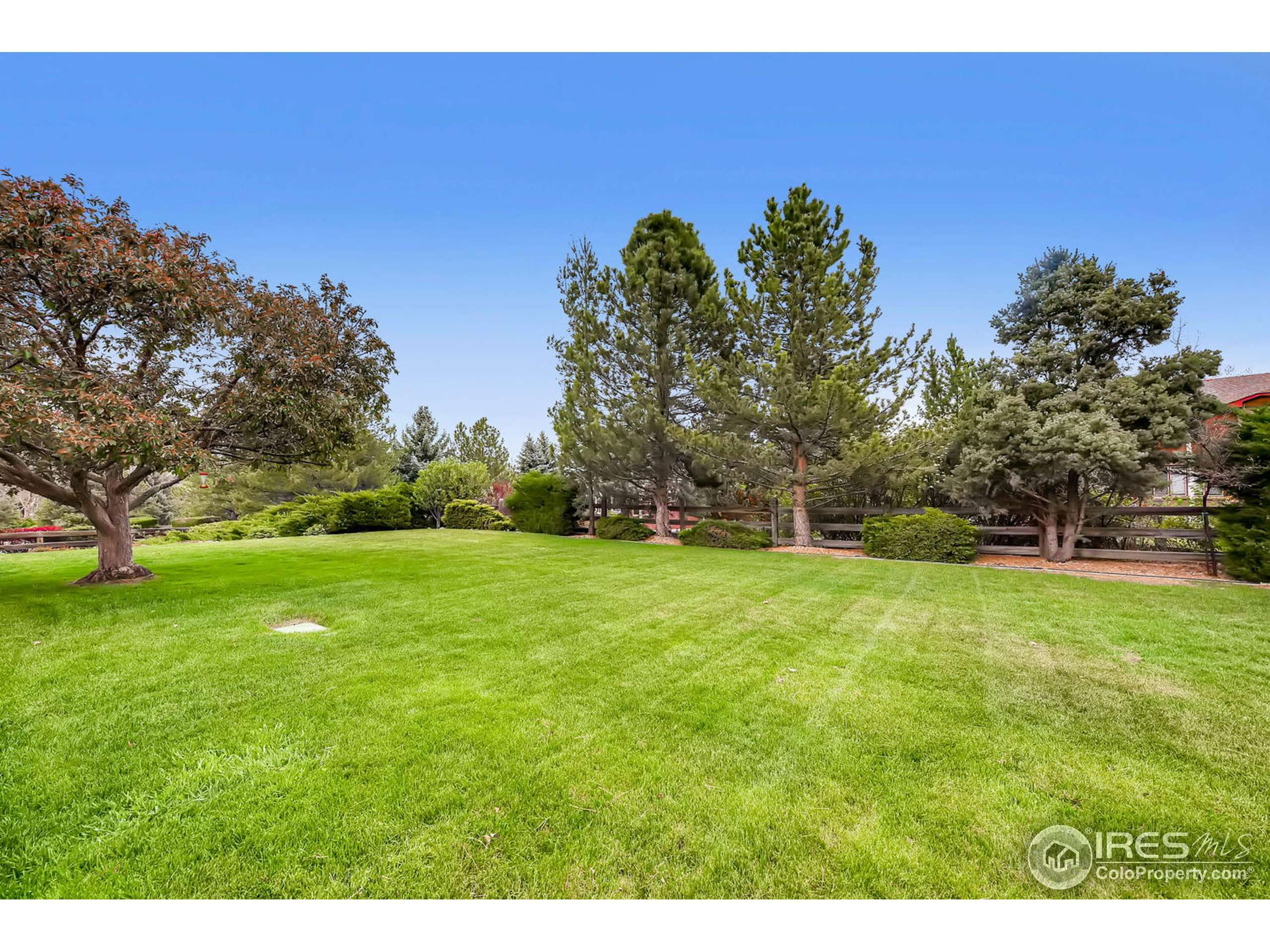 Niwot, CO 80503,8391 Sawtooth Ln