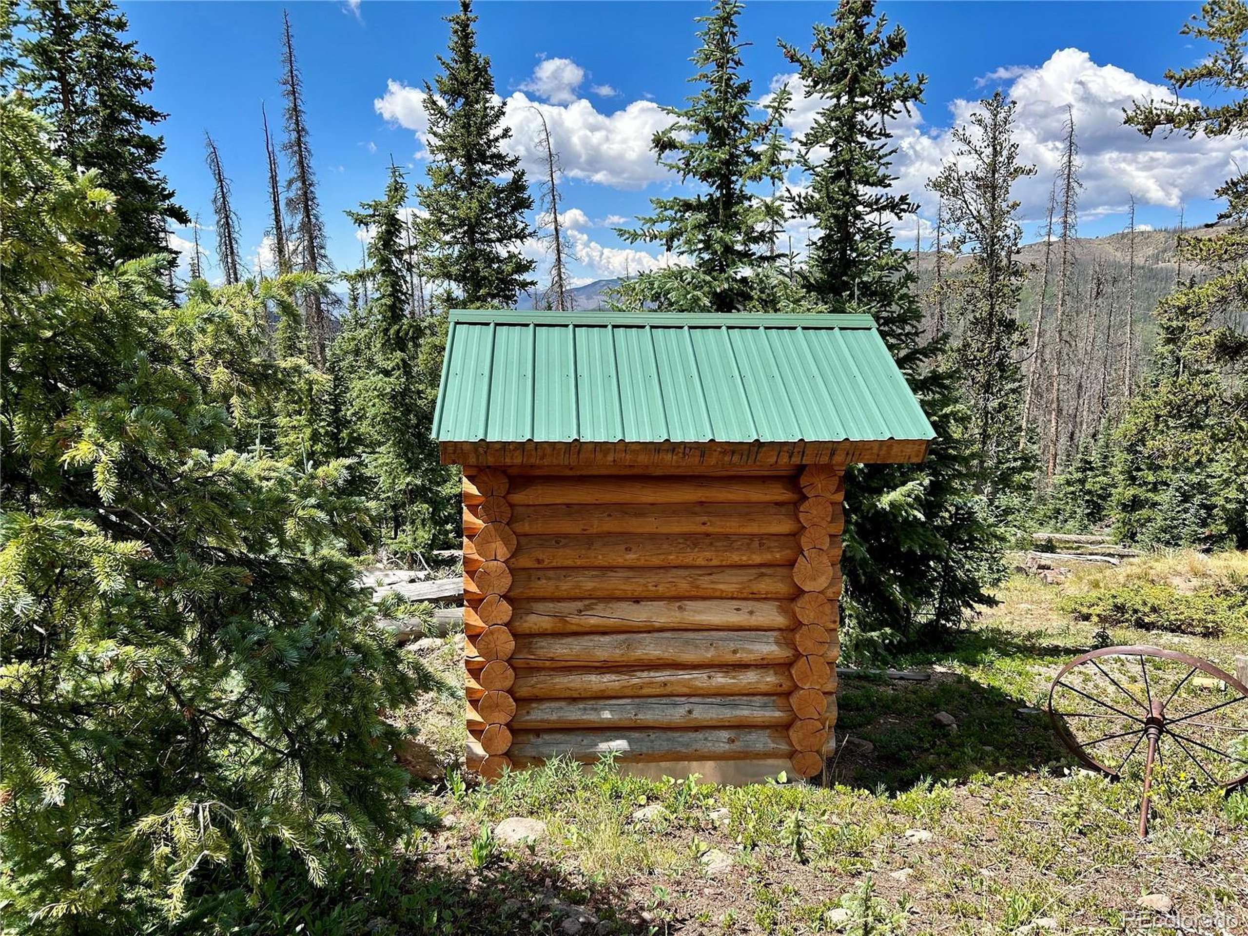 Creede, CO 81130,3190 Forest Road 503