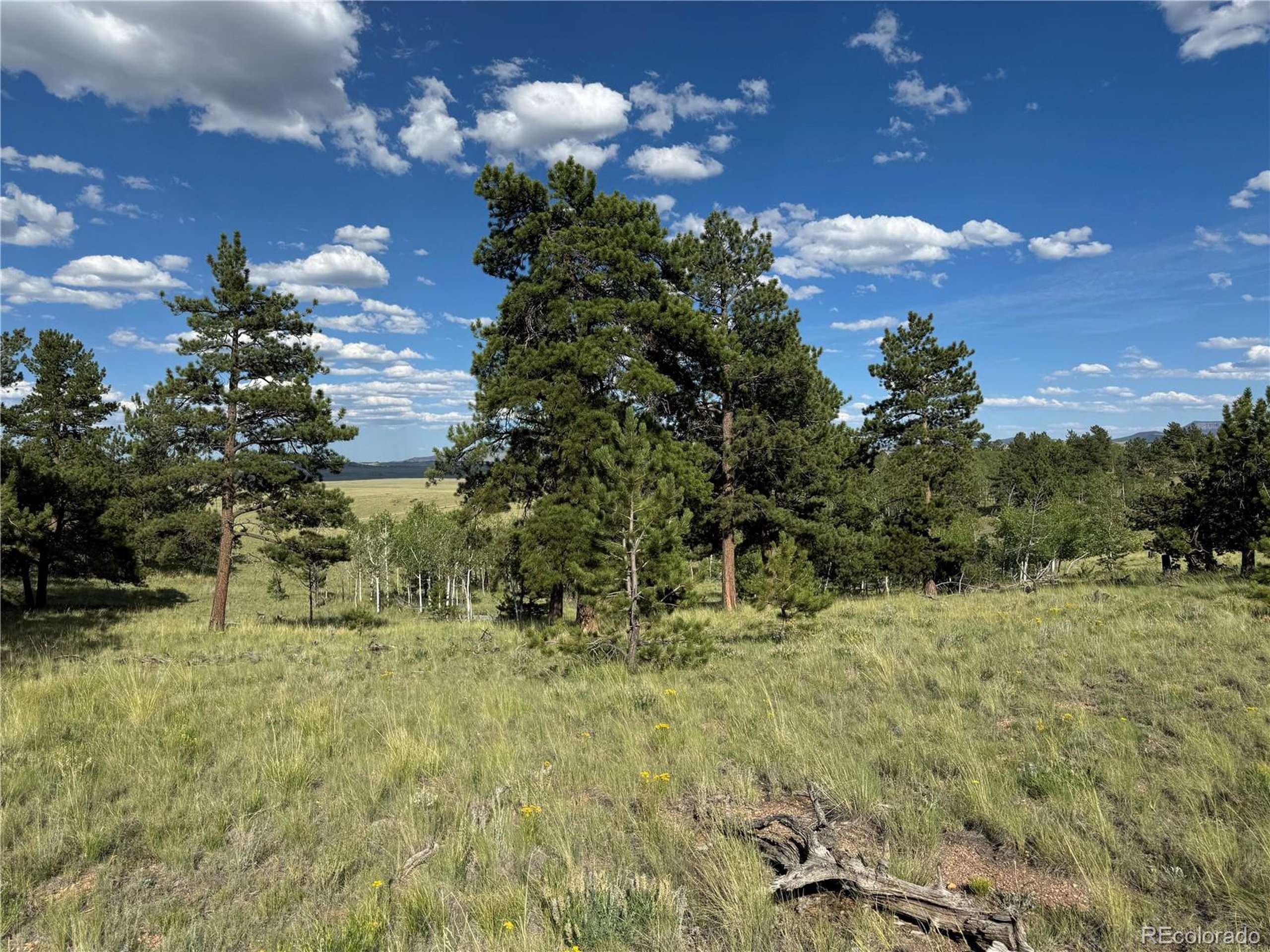 Hartsel, CO 80449,833 Angus Cir