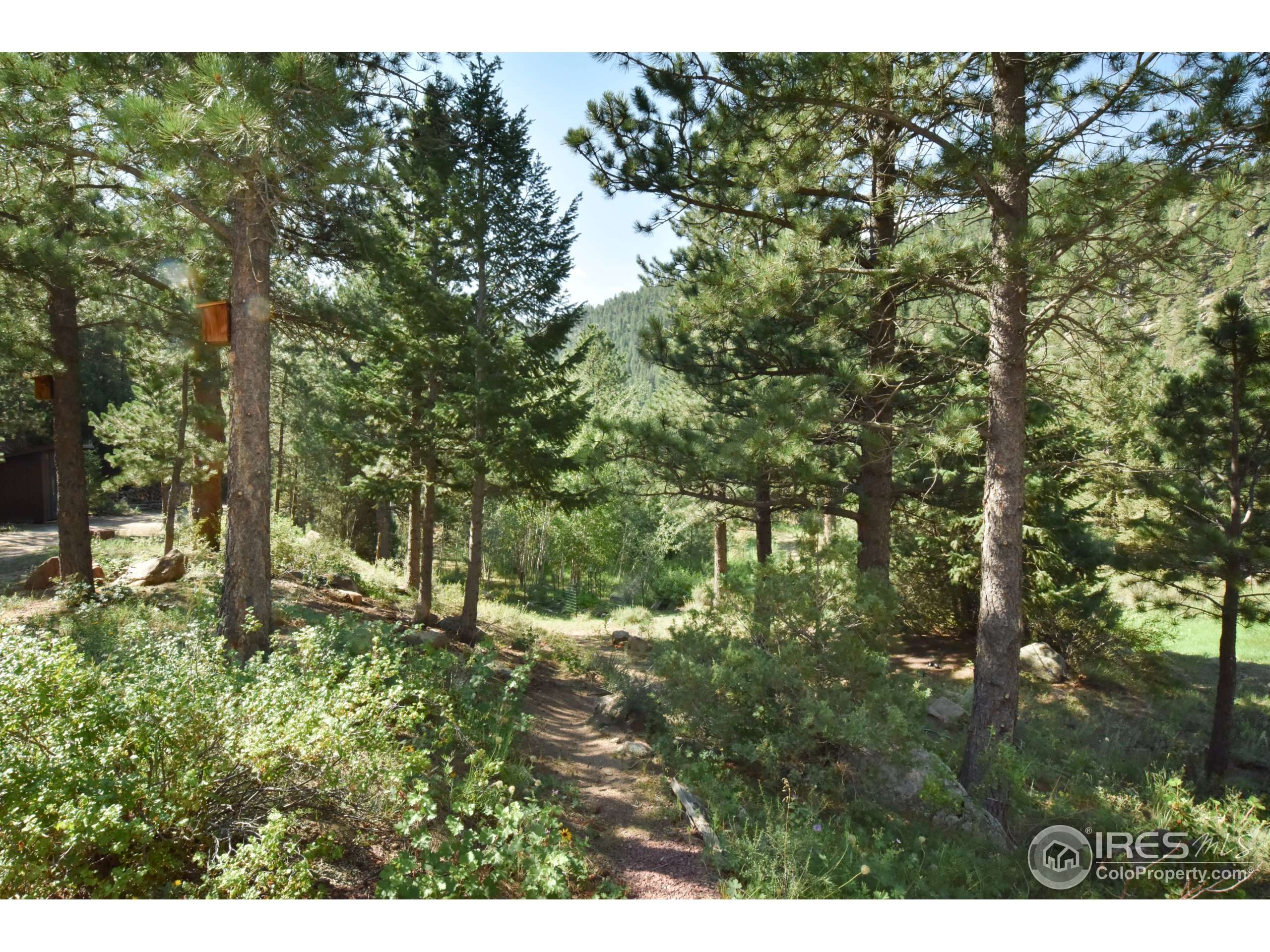 Lyons, CO 80540,22145 S Saint Vrain Dr