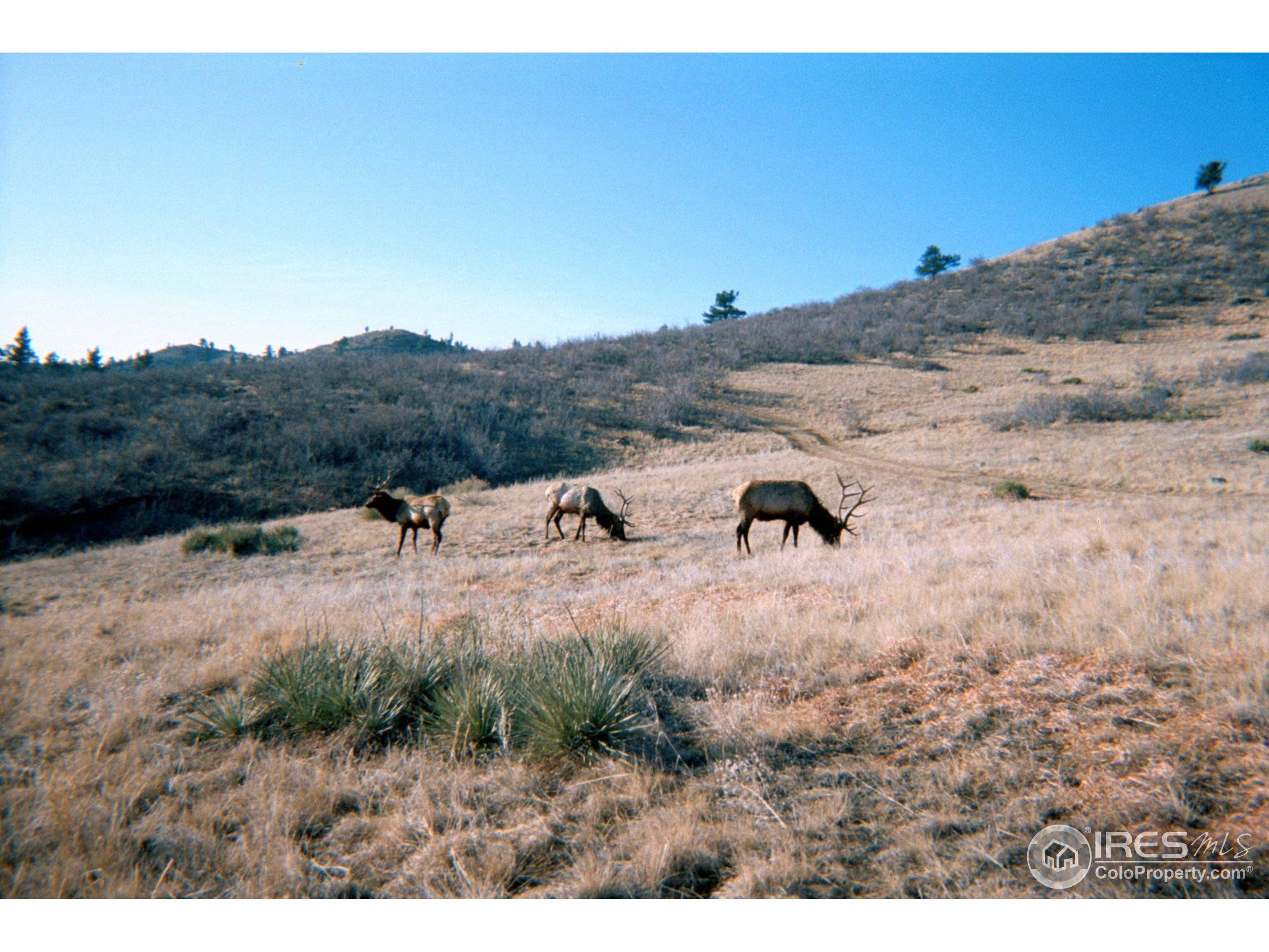 Lyons, CO 80540,8 Dry Creek Trl