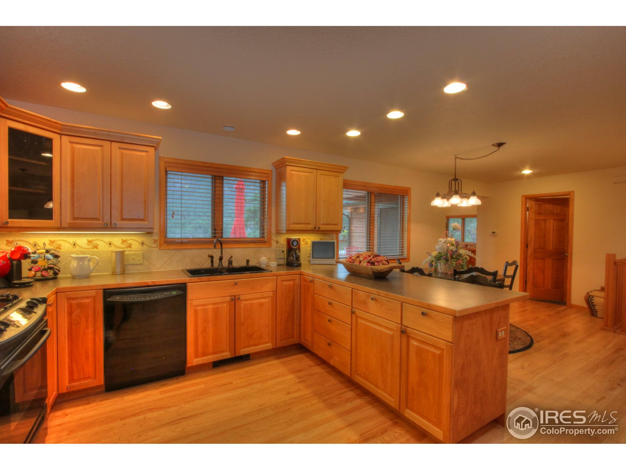 Estes Park, CO 80517,658 Cedar Ridge Cir