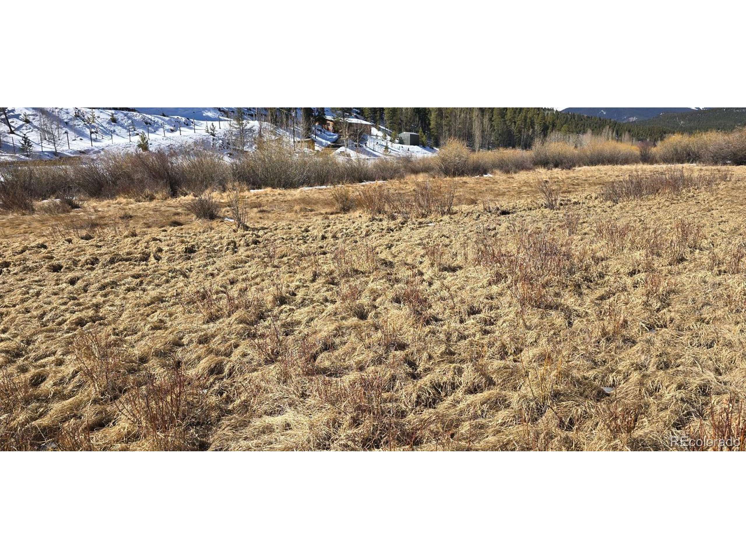 Bailey, CO 80421,227 Moore St