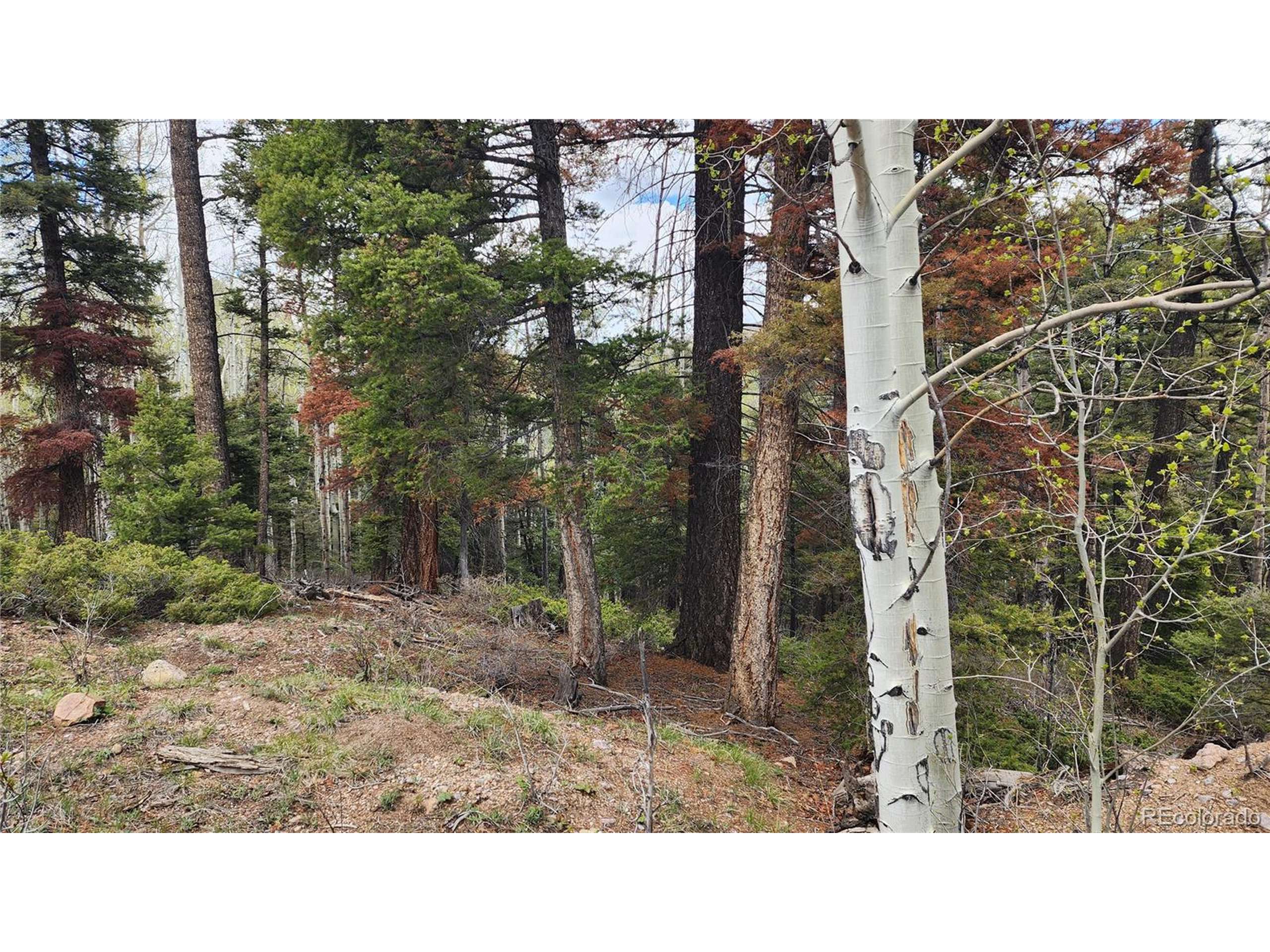 San Luis, CO 81152,6338 Aragon Rd