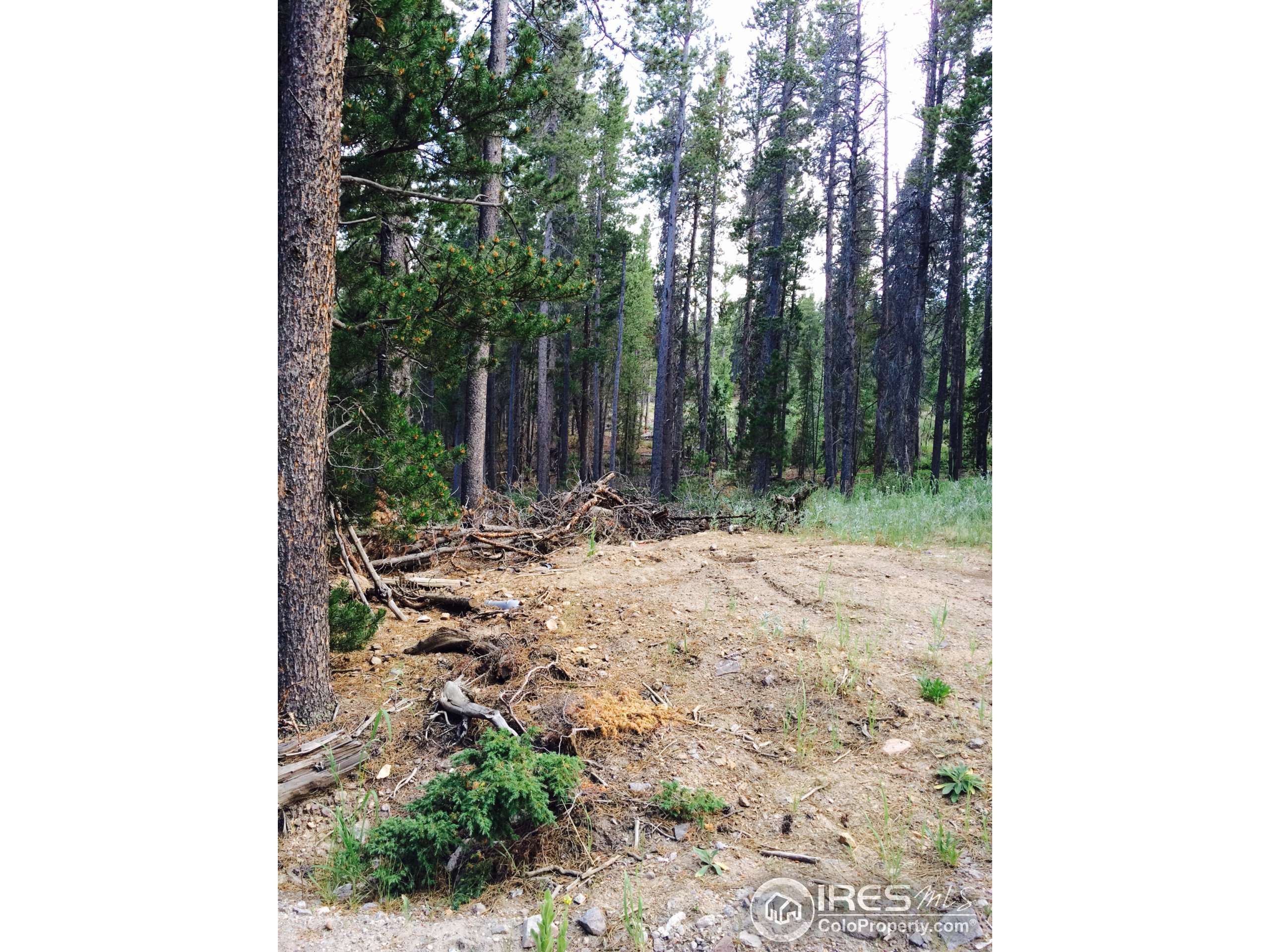 Nederland, CO 80466,23600 Peak to Peak Hwy