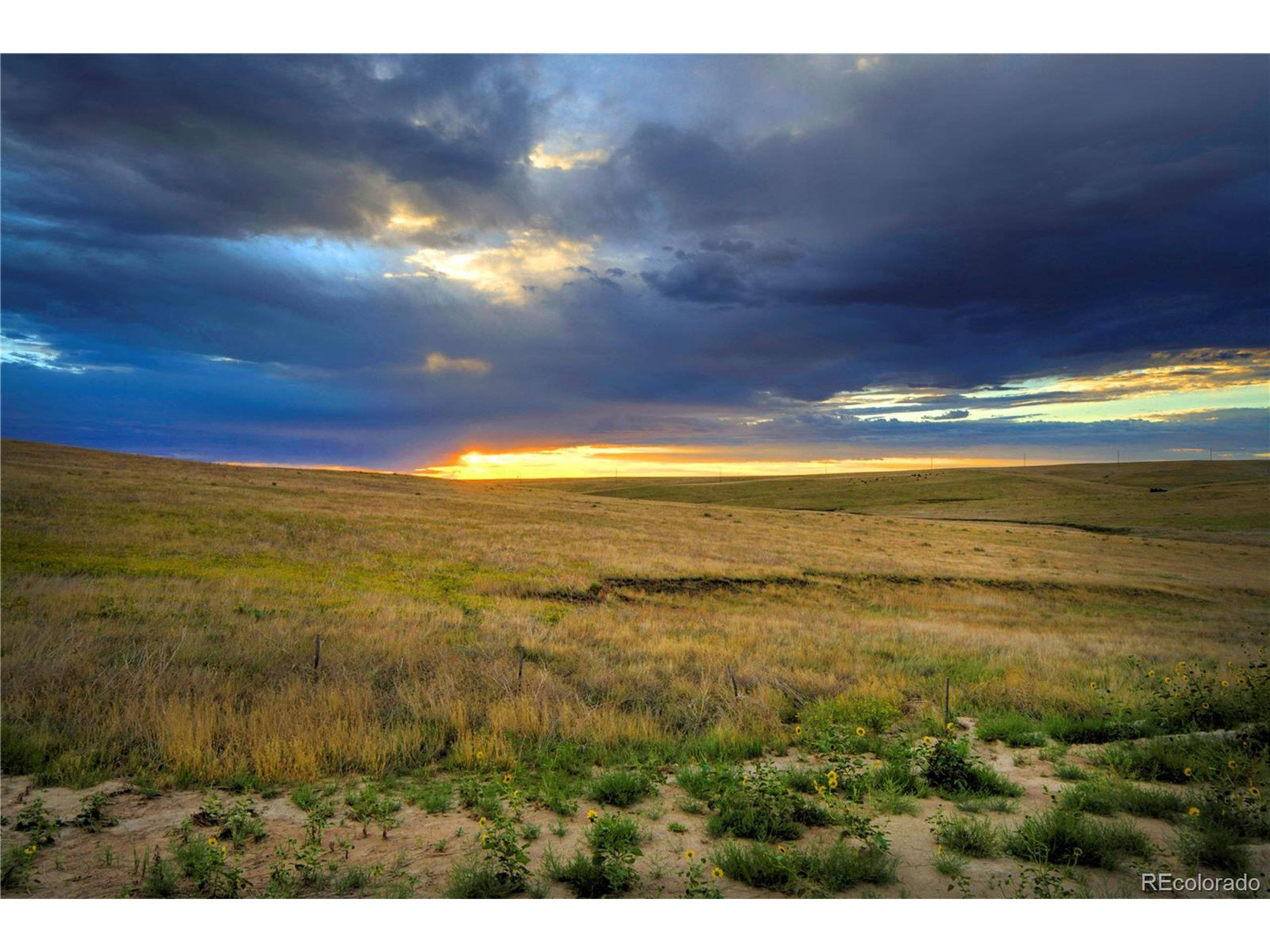 Kiowa, CO 80117,Last Dart Rd