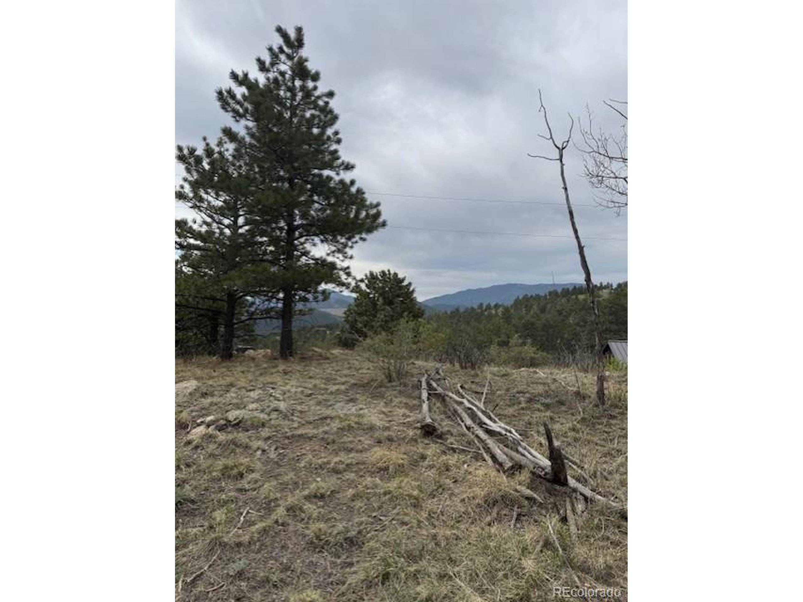 Bailey, CO 80421,Mockingbird Trl