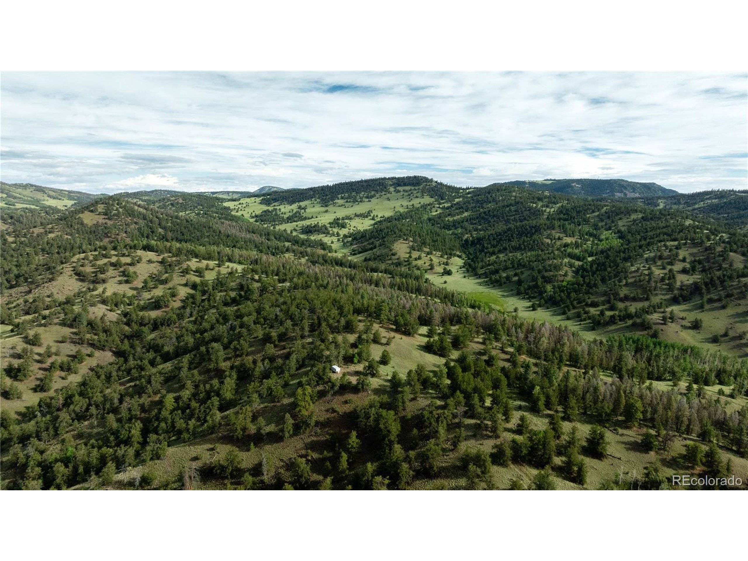 Guffey, CO 80820,5 Elk Height Ln