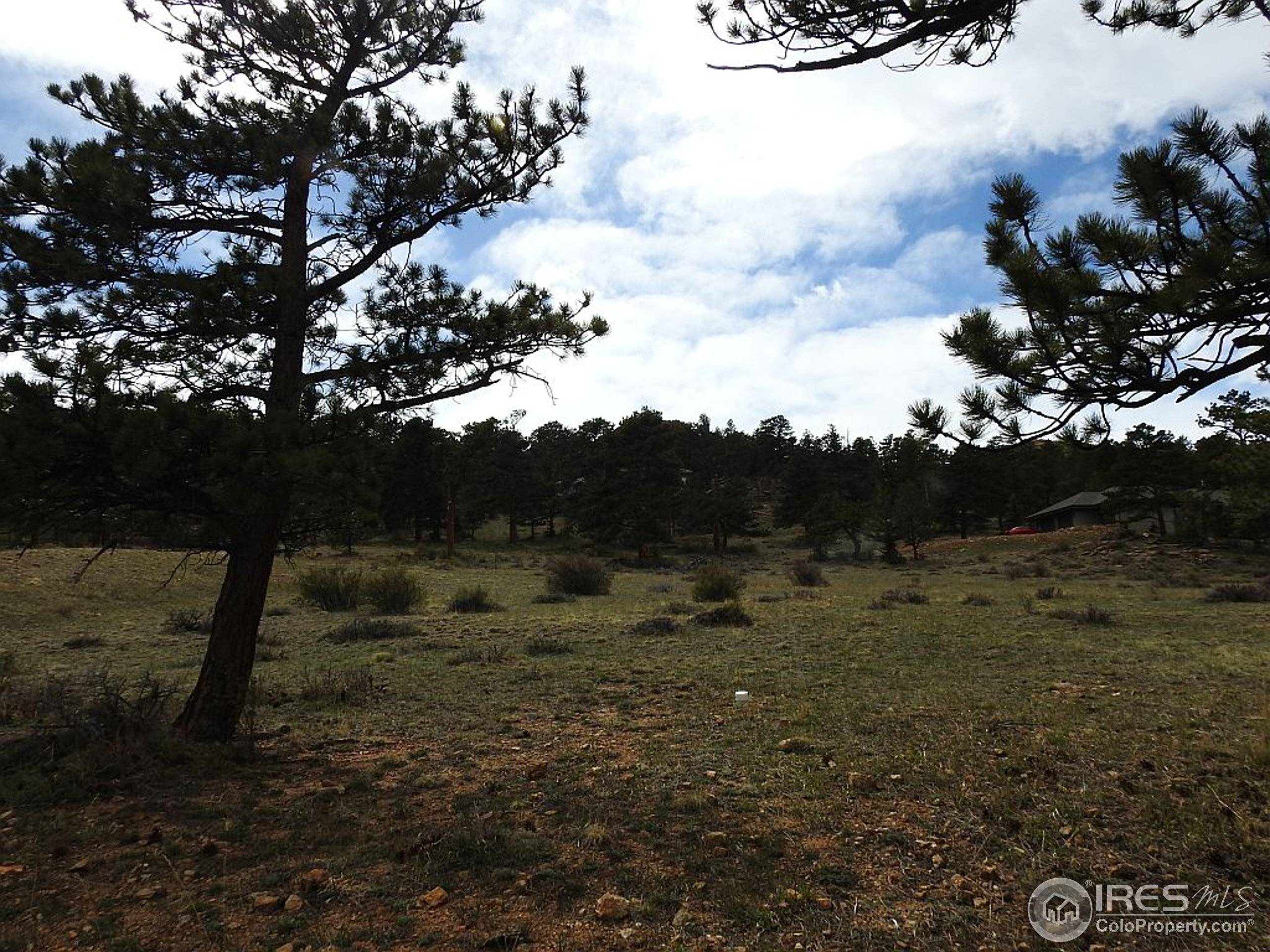 Estes Park, CO 80517,0 Grey Fox Dr