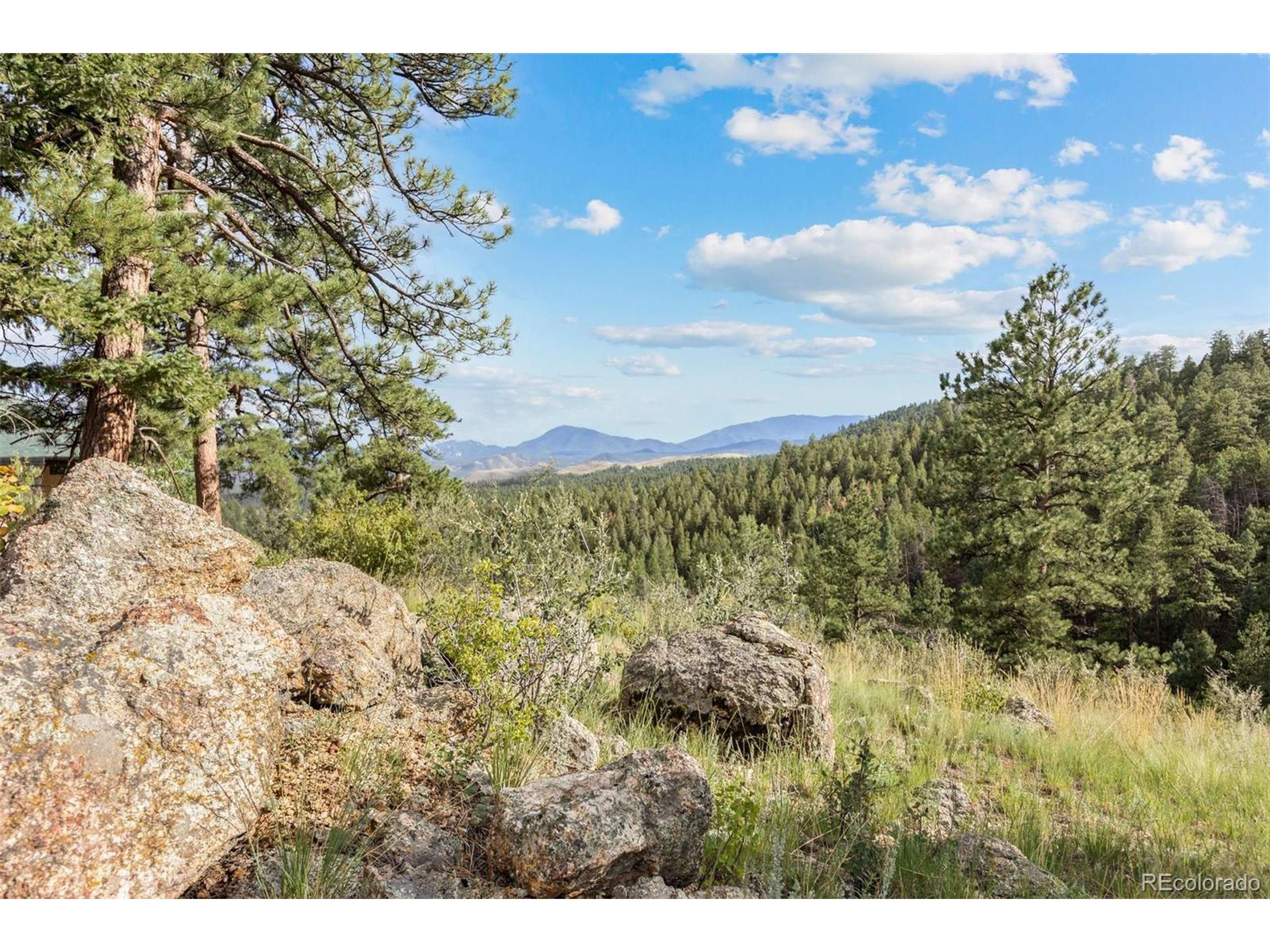 Pine, CO 80470,13817 Gordon Ct