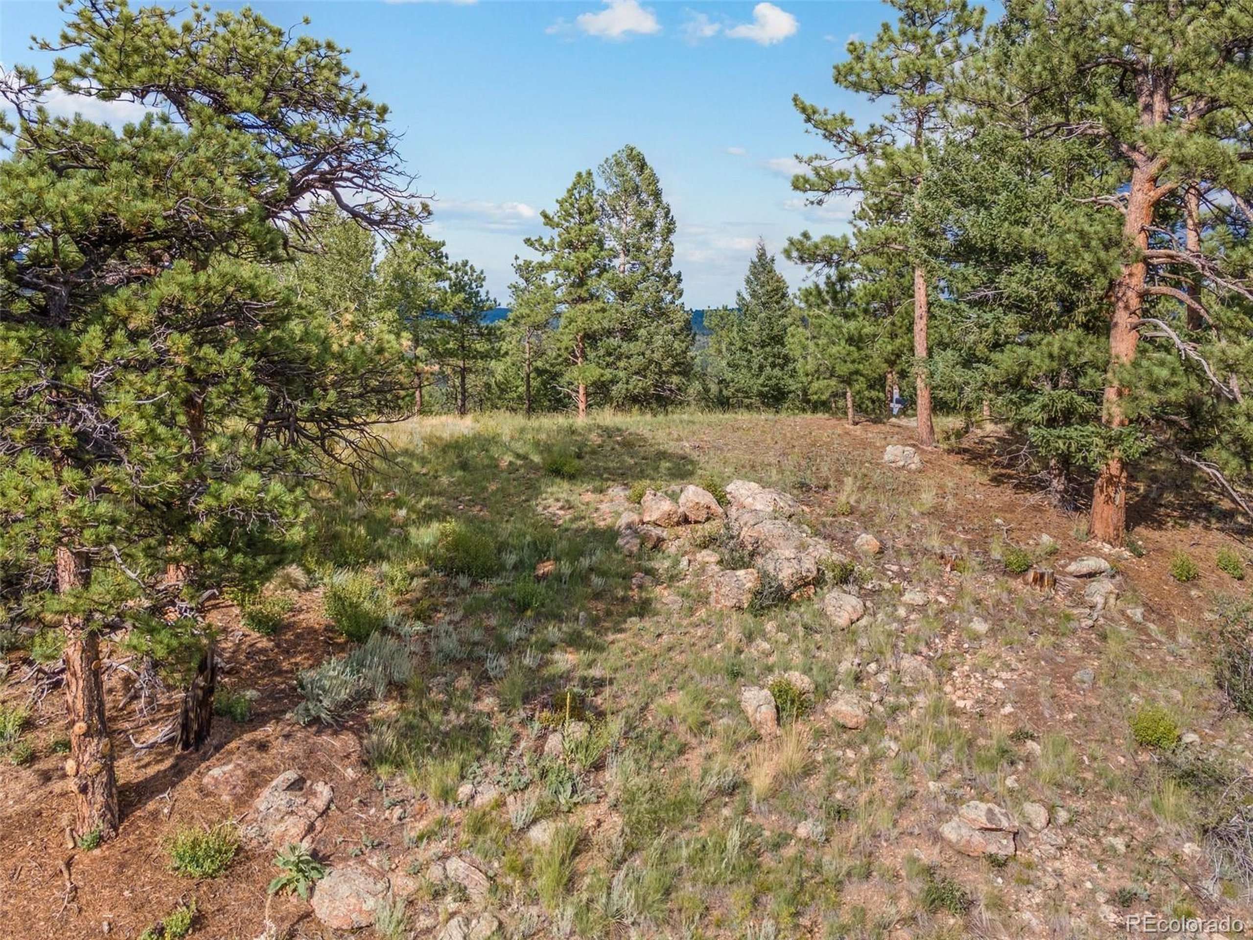 Pine, CO 80470,13817 Gordon Ct