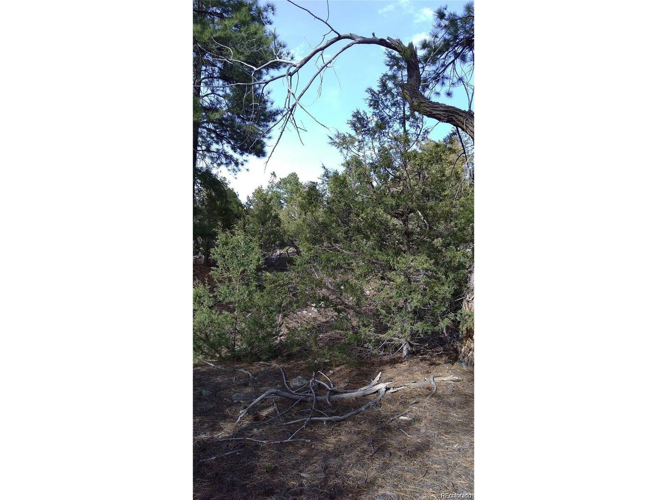 Mosca, CO 81146,Address not disclosed