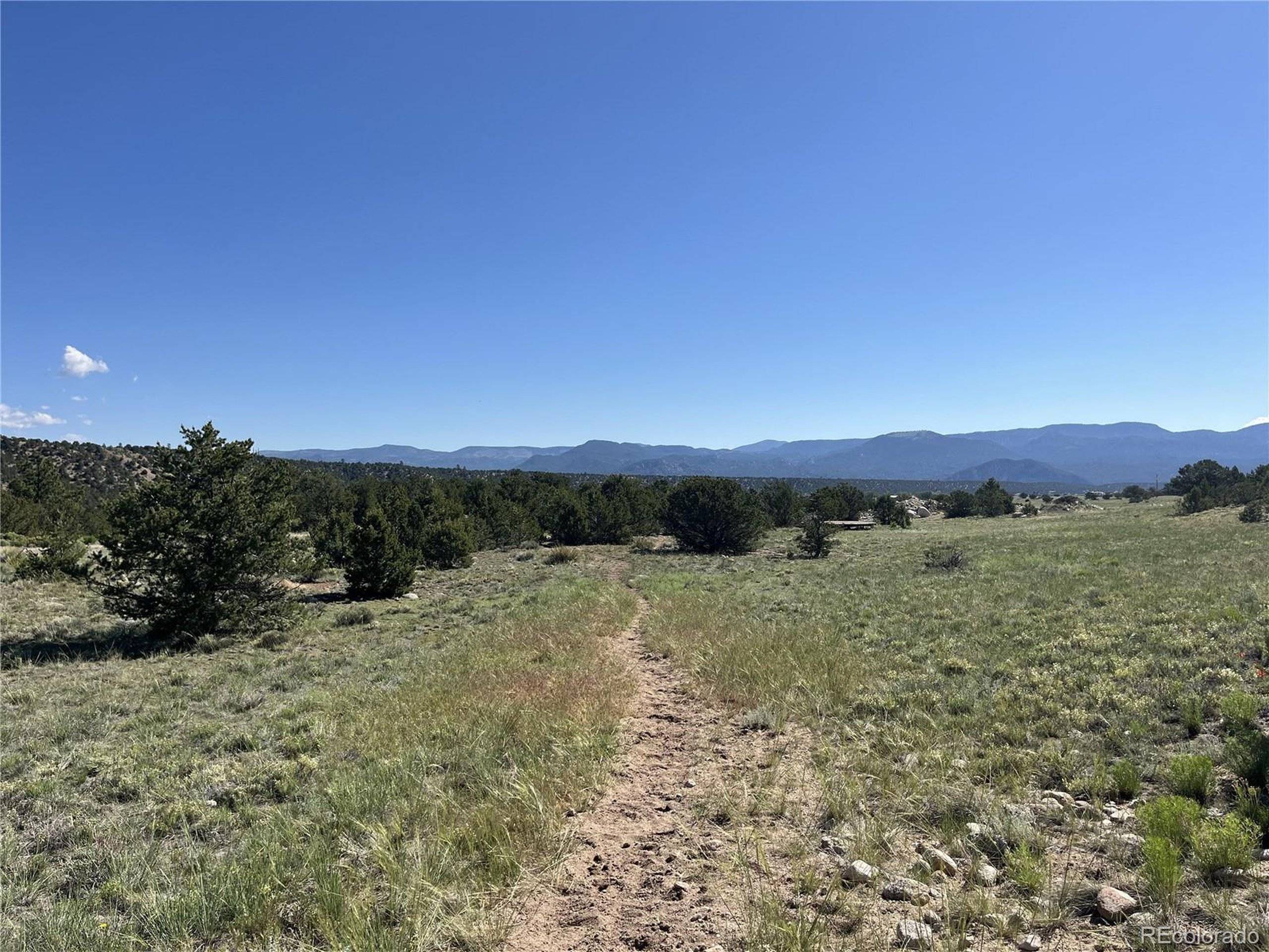 Nathrop, CO 81236,14973 Chalk Creek Dr