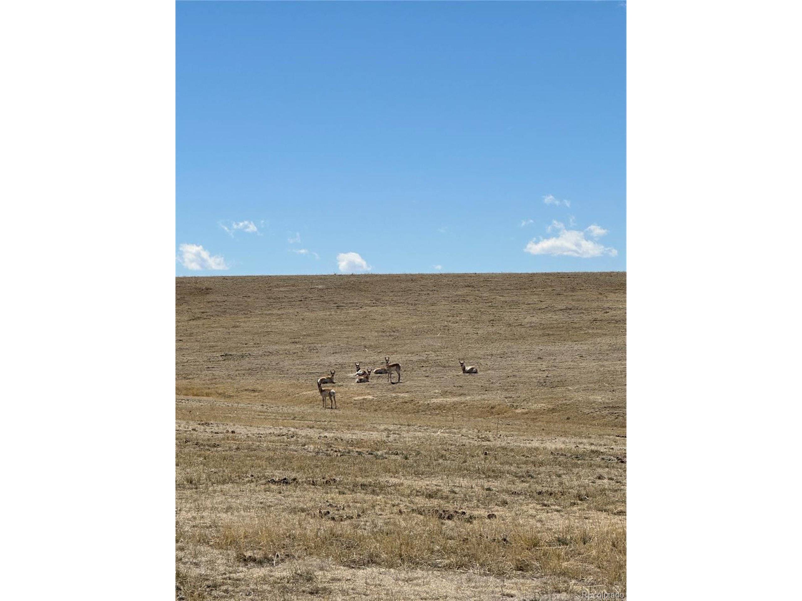 Elizabeth, CO 80107,Rolling Vista St