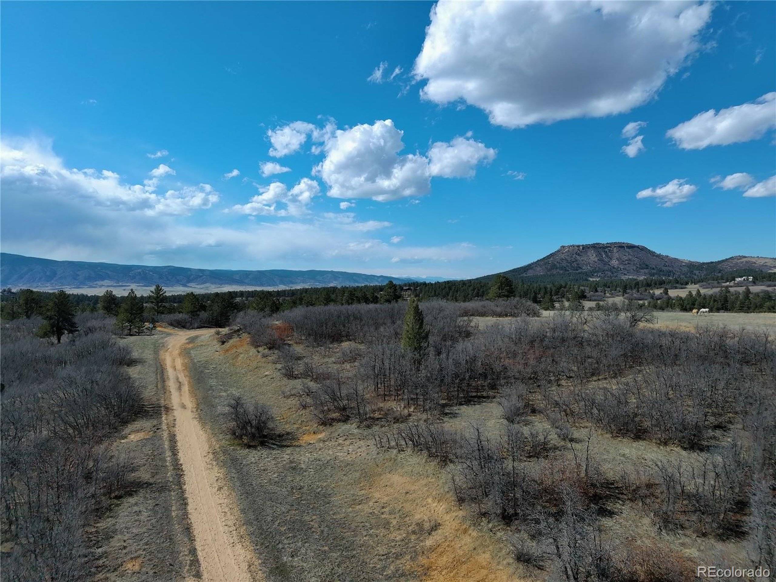 Larkspur, CO 80118,6319 Balsamroot Rd