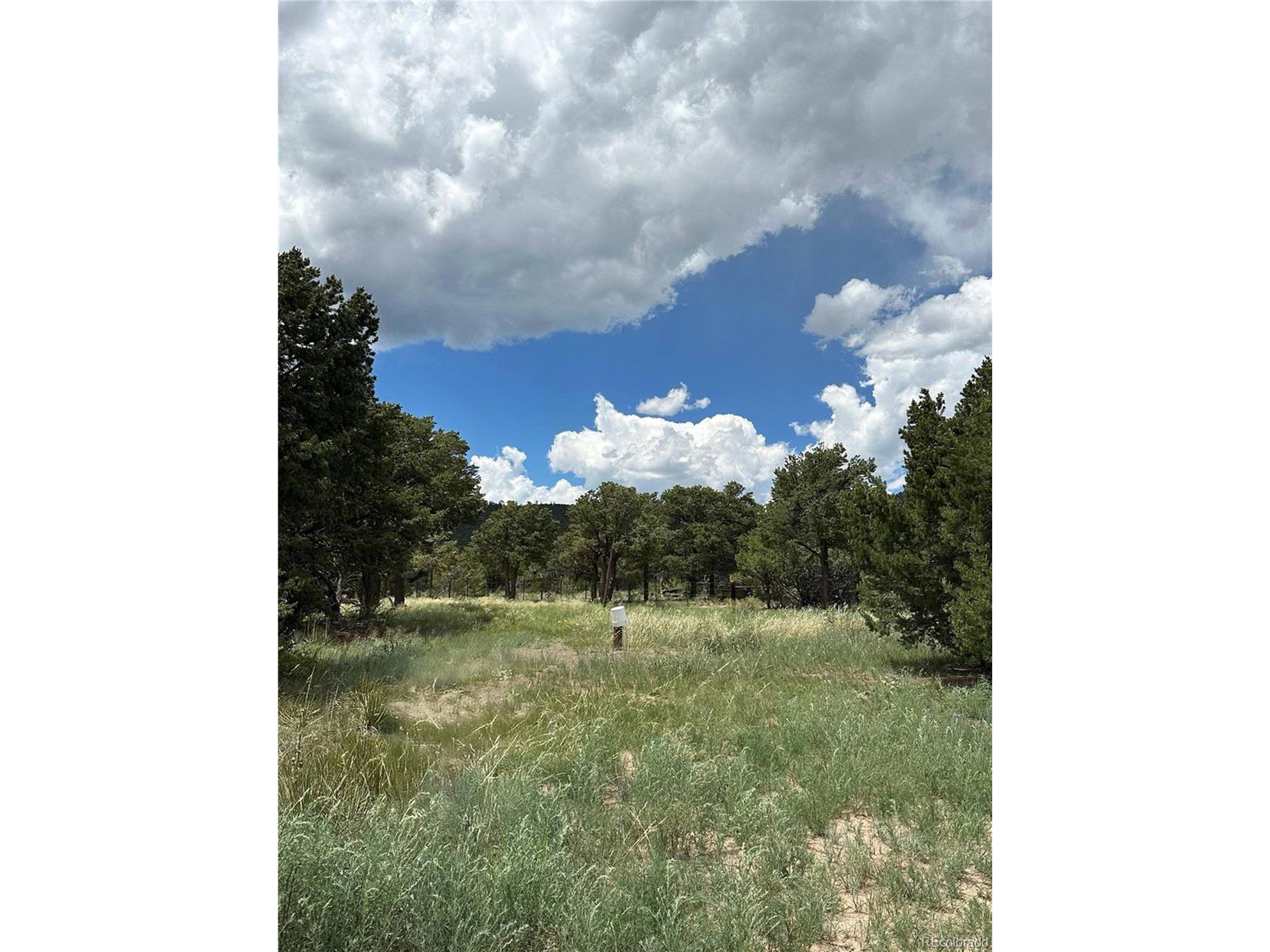 South Fork, CO 81154,469 Elk Ridge Trl