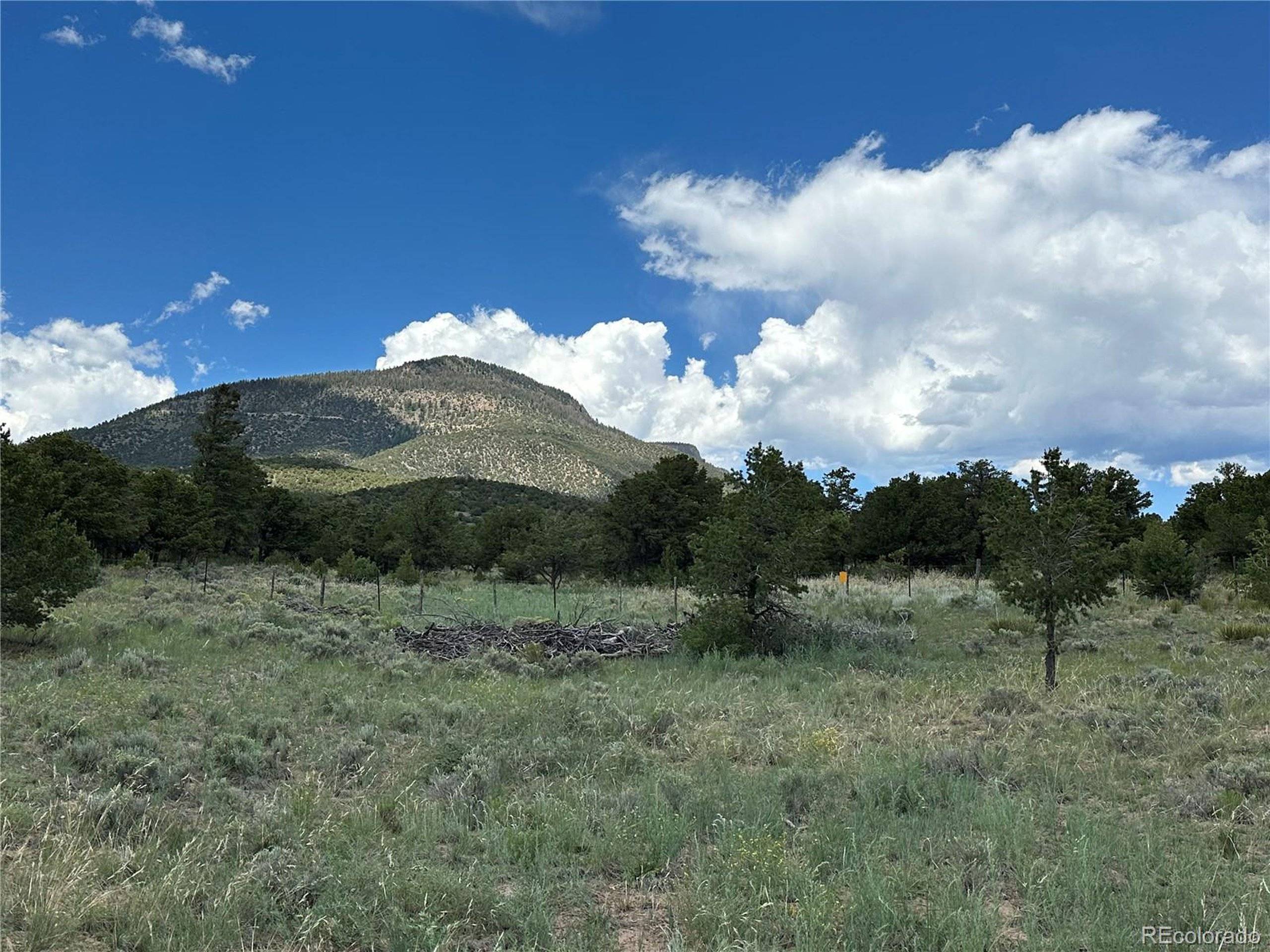 South Fork, CO 81154,469 Elk Ridge Trl