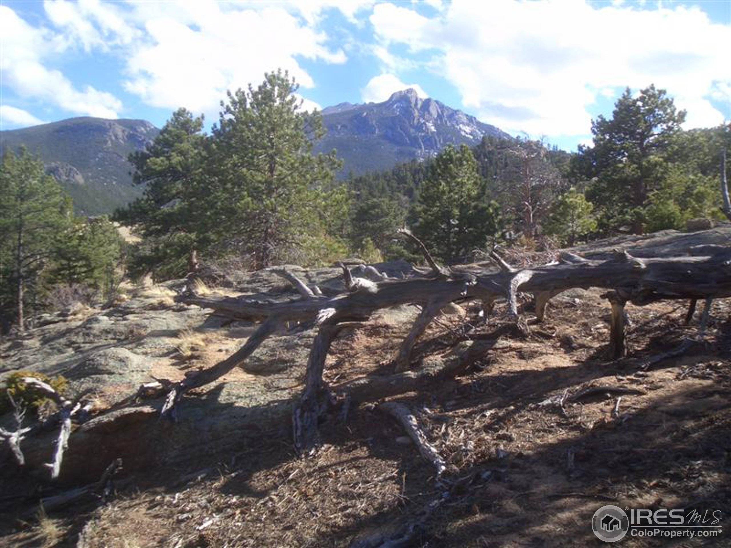 Estes Park, CO 80517,0 Shadow Mountain Ct