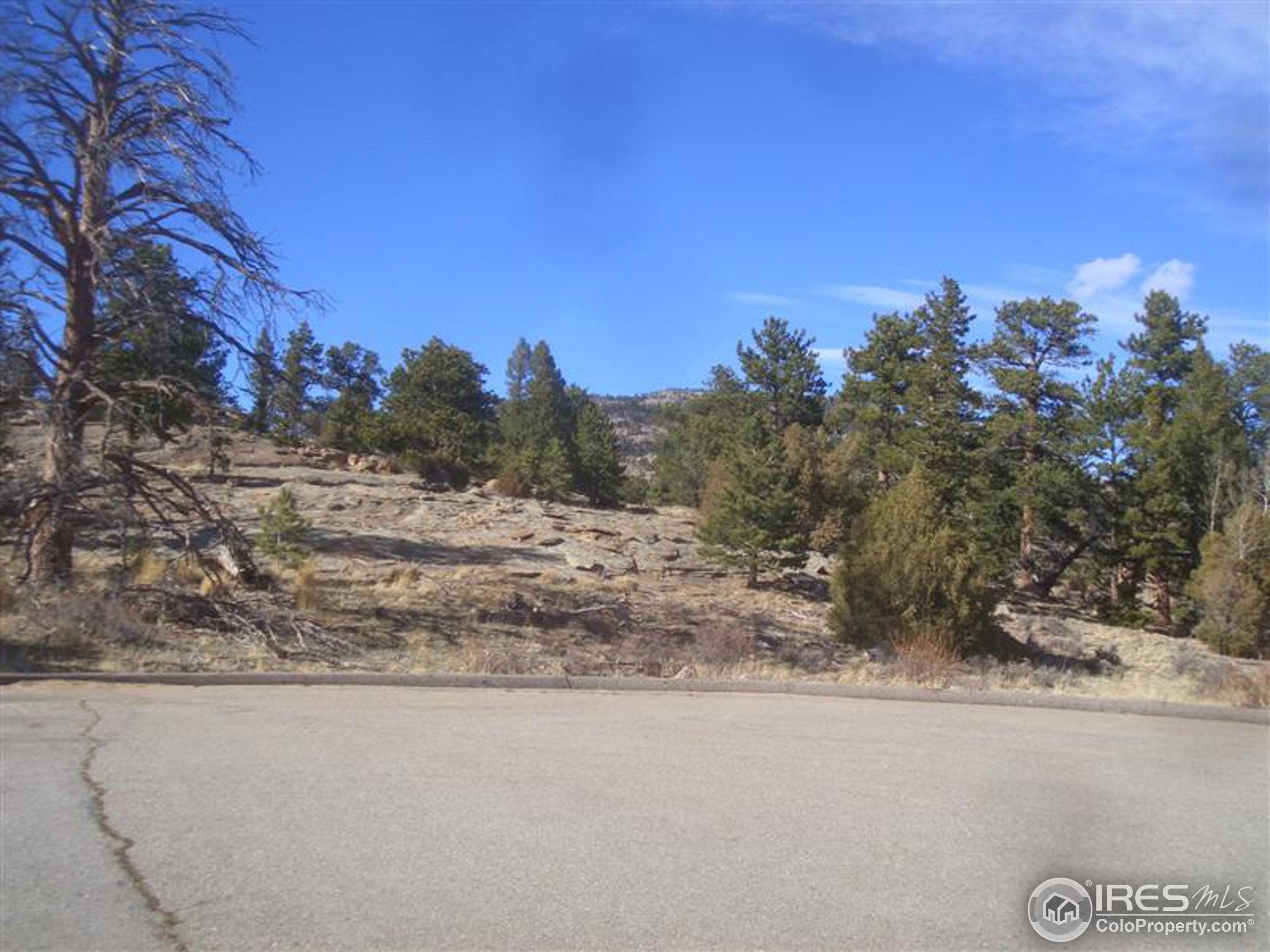 Estes Park, CO 80517,0 Shadow Mountain Ct