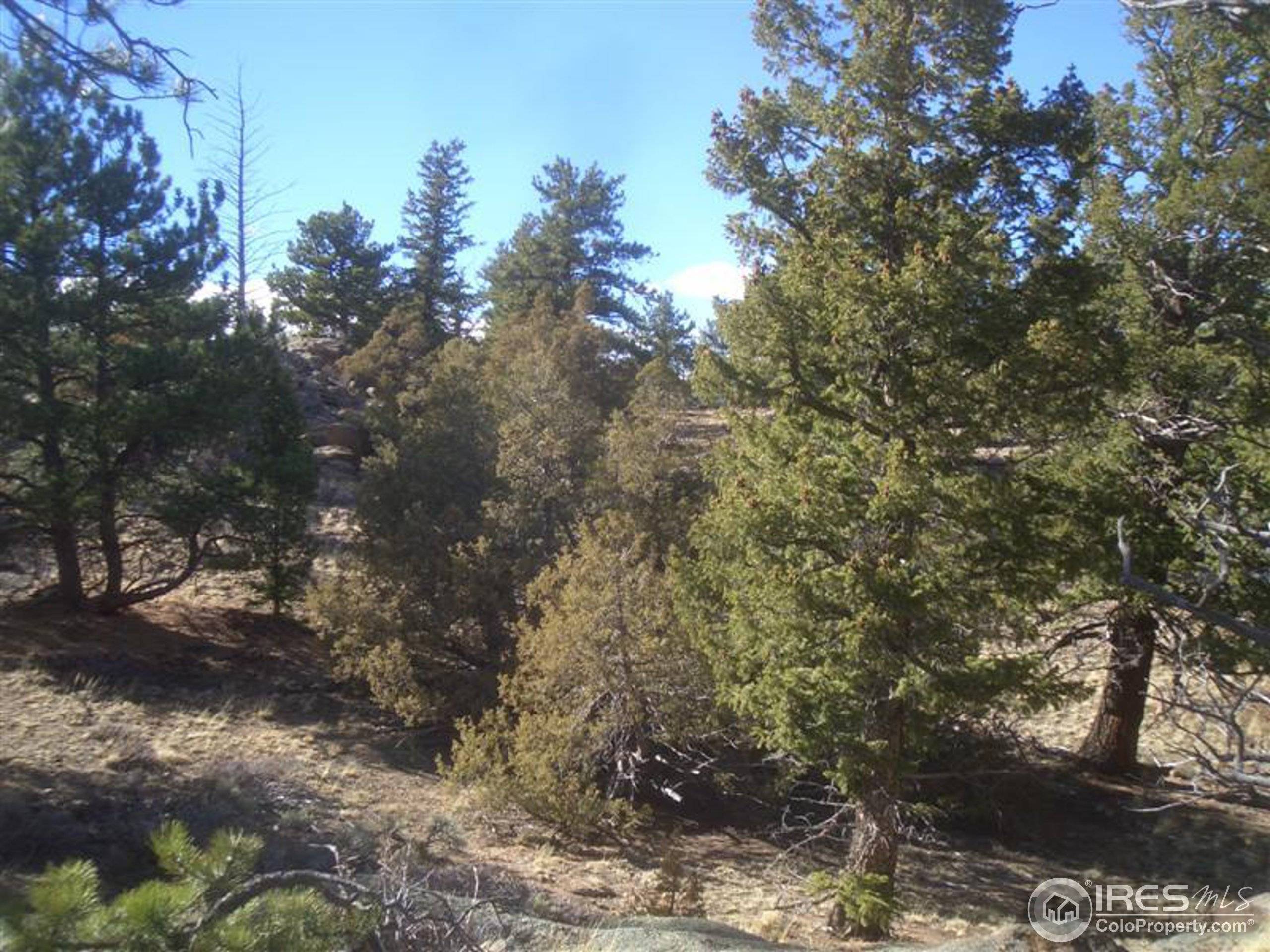 Estes Park, CO 80517,0 Shadow Mountain Ct