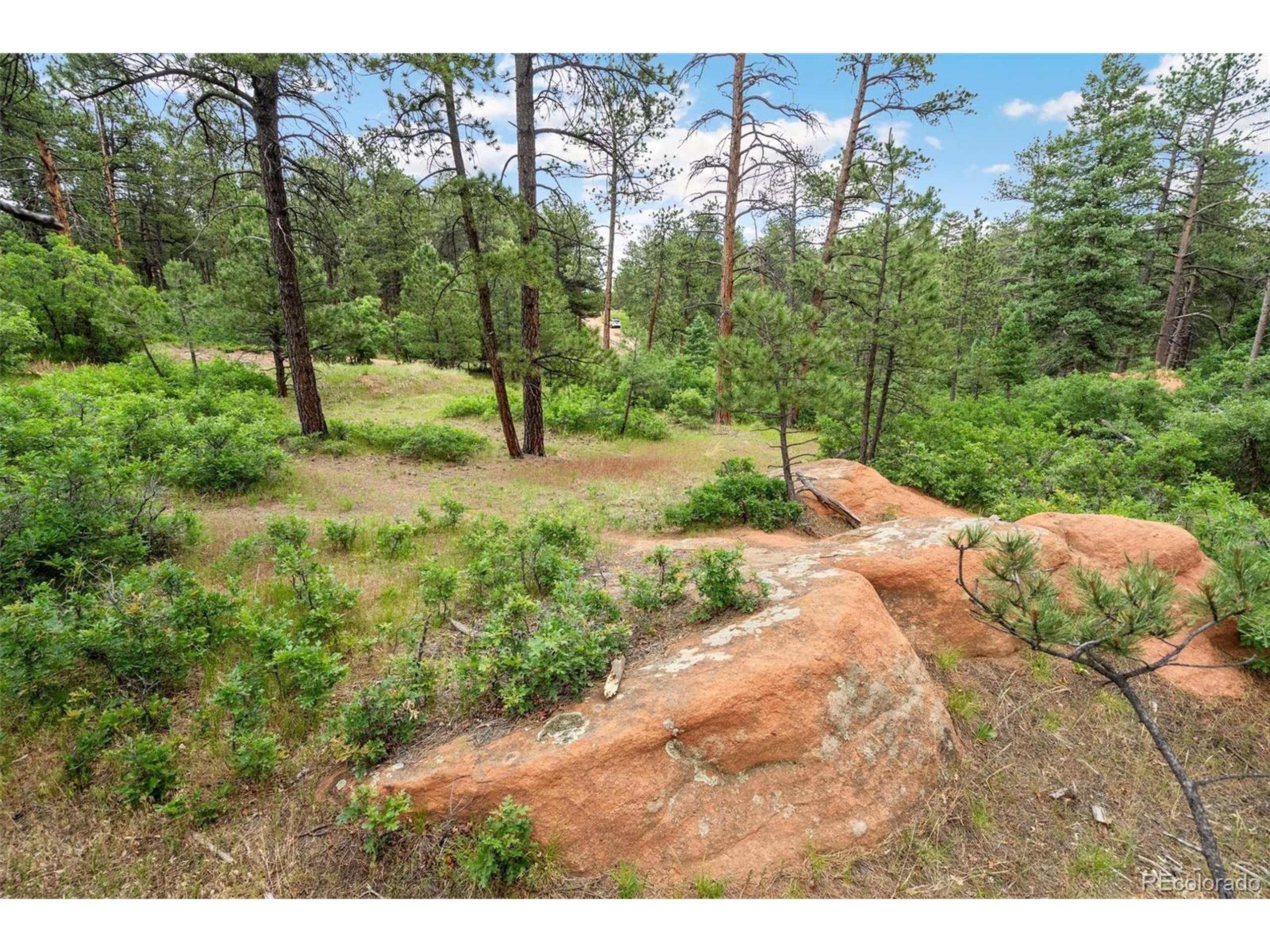 Larkspur, CO 80118,4580 Delaware Dr