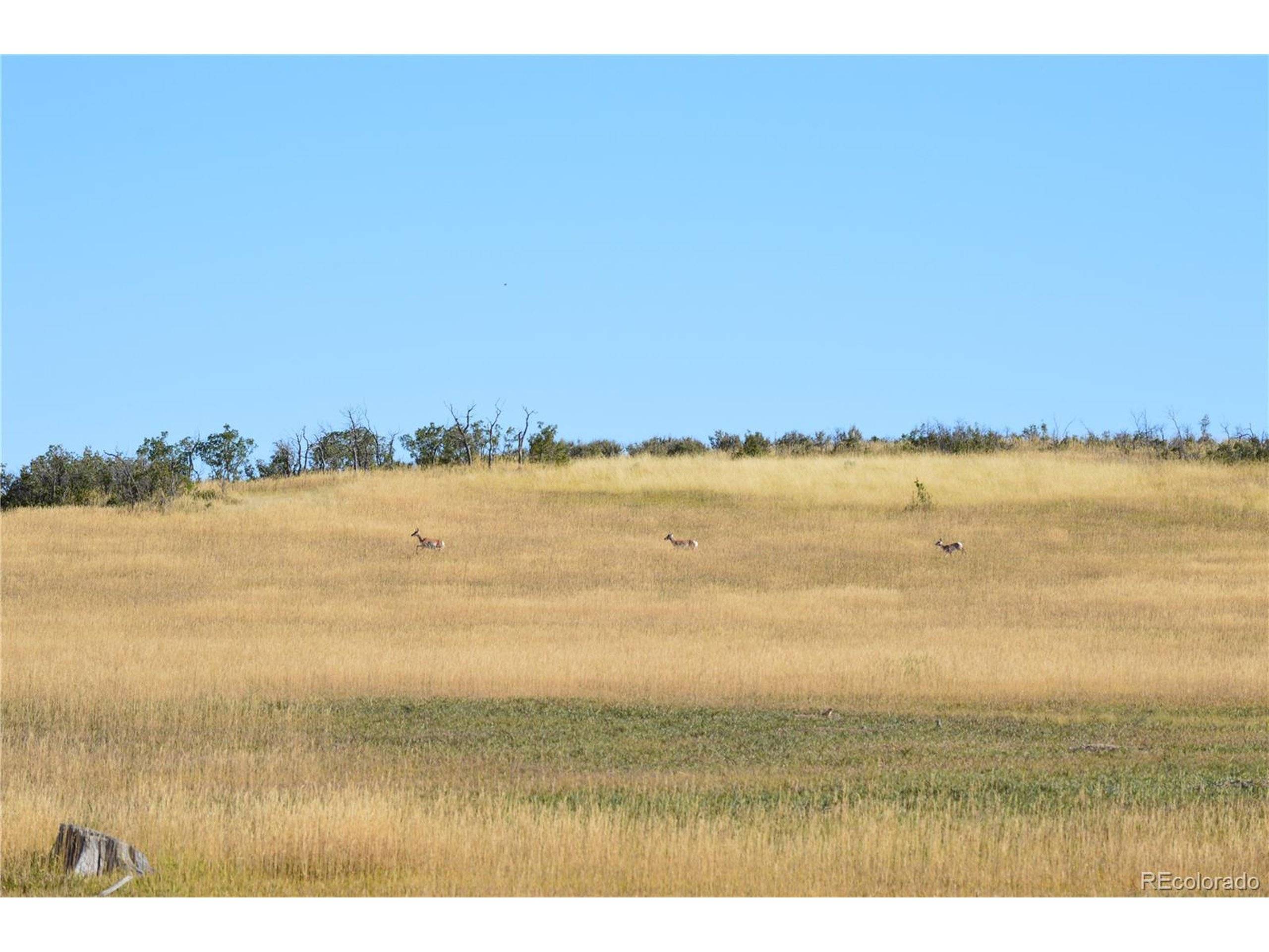 Rye, CO 81069,Address not disclosed